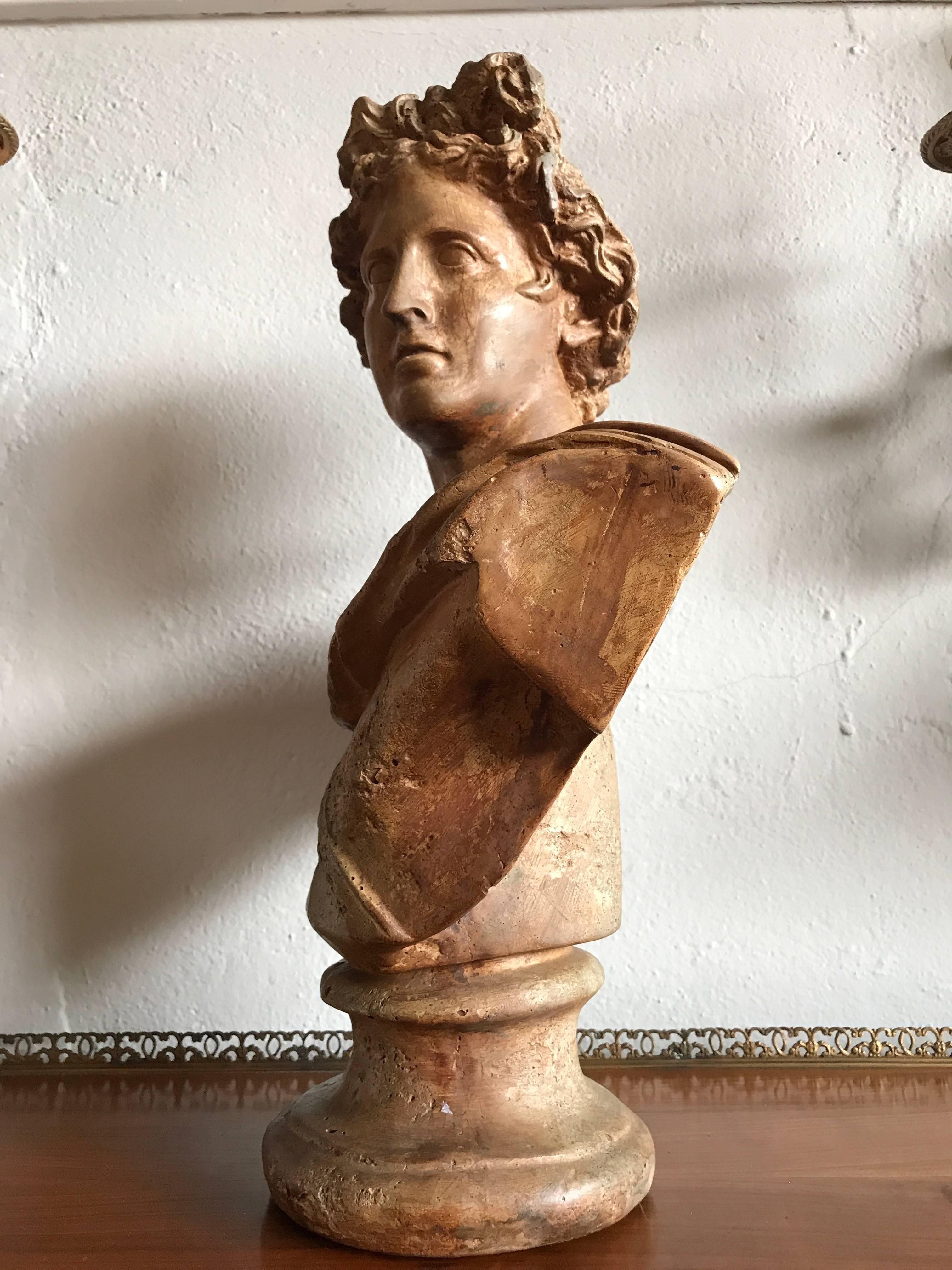 Plaster Antique Neoclassical Bust of a Greek God