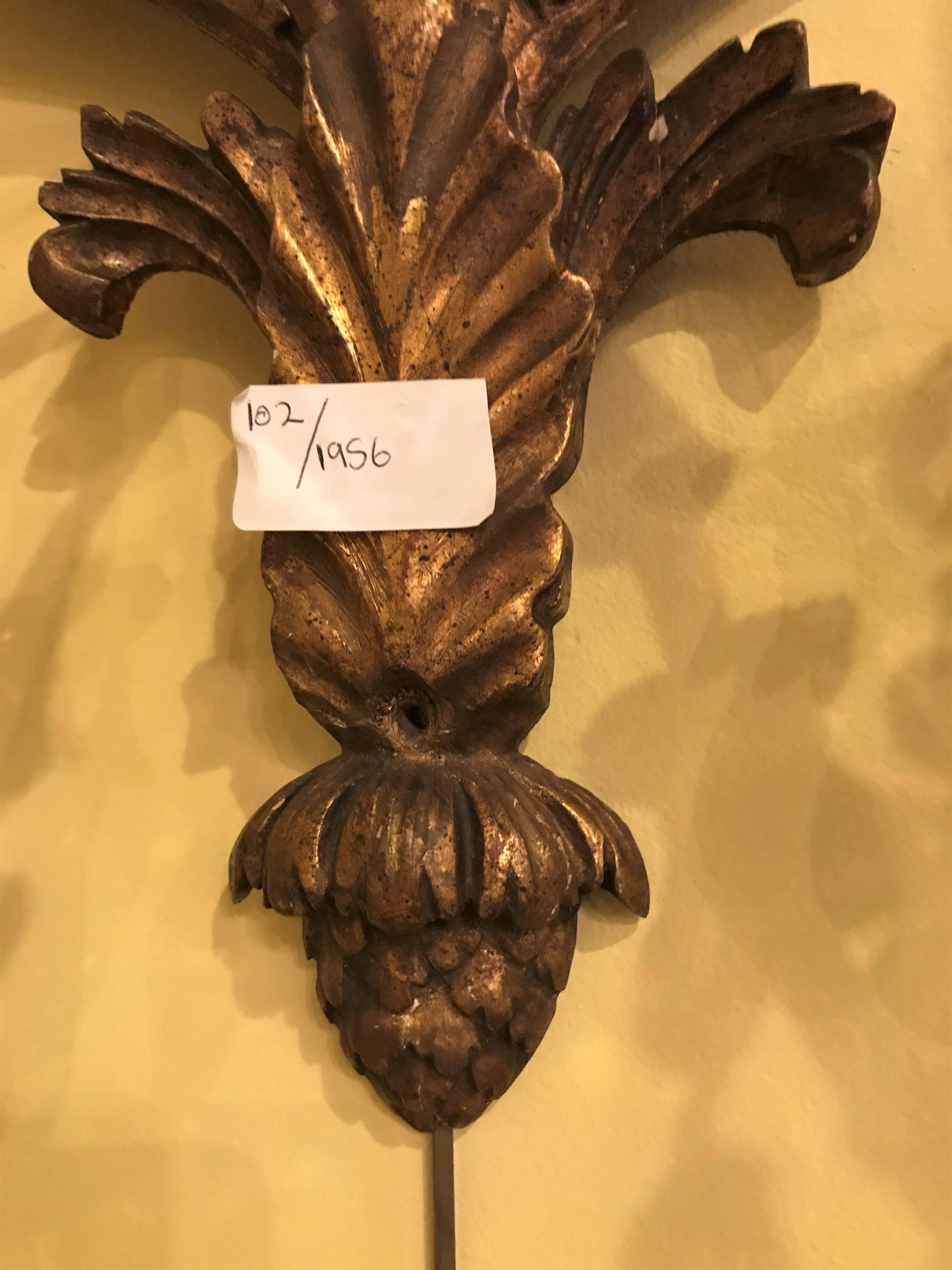 19th Century Pair of Carved Lion Head Shell Form Wooden Sconces 2