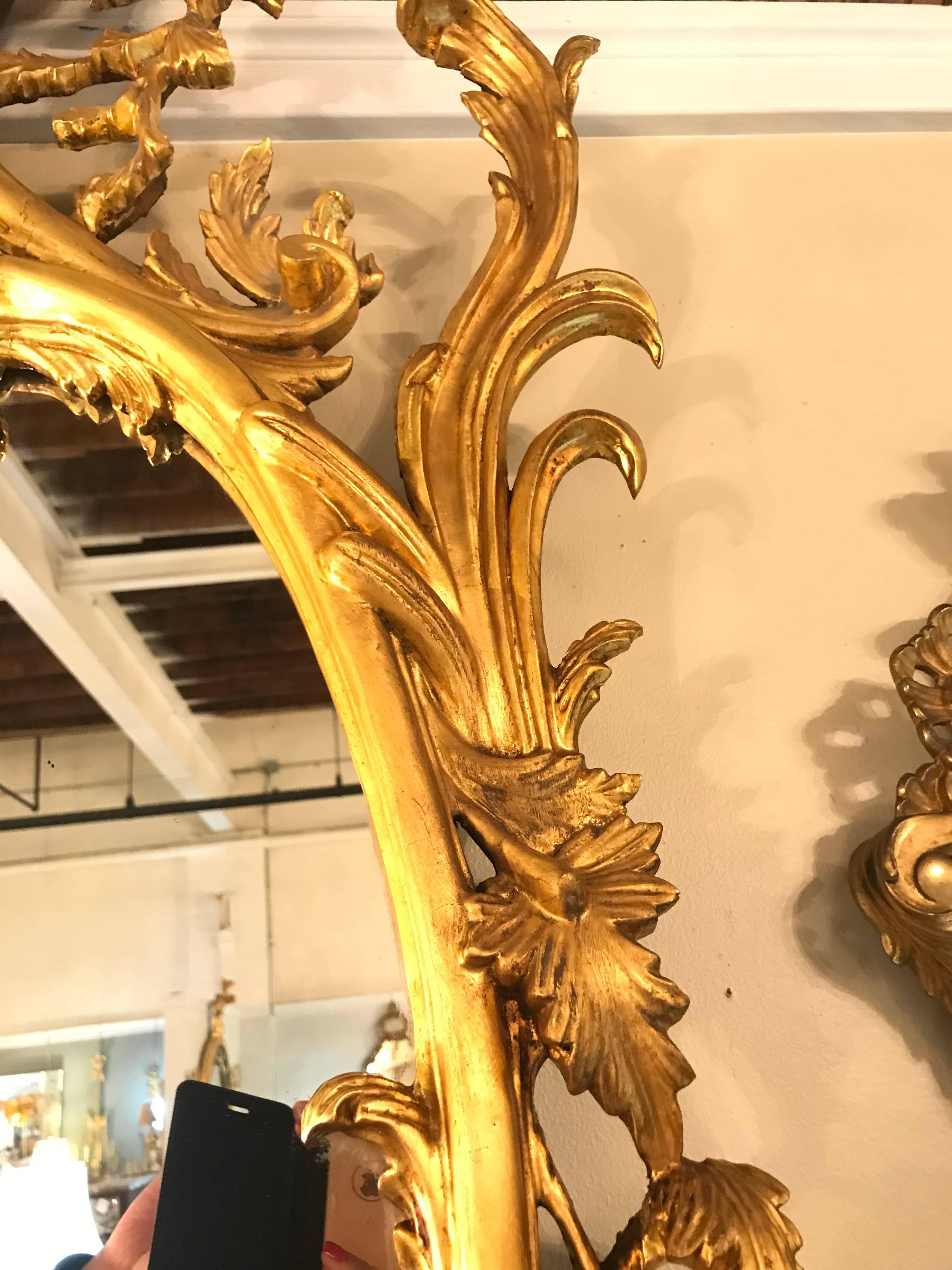 Pair of George II Style Giltwood Wall or Console Mirrors with Phoenix Carvings 1