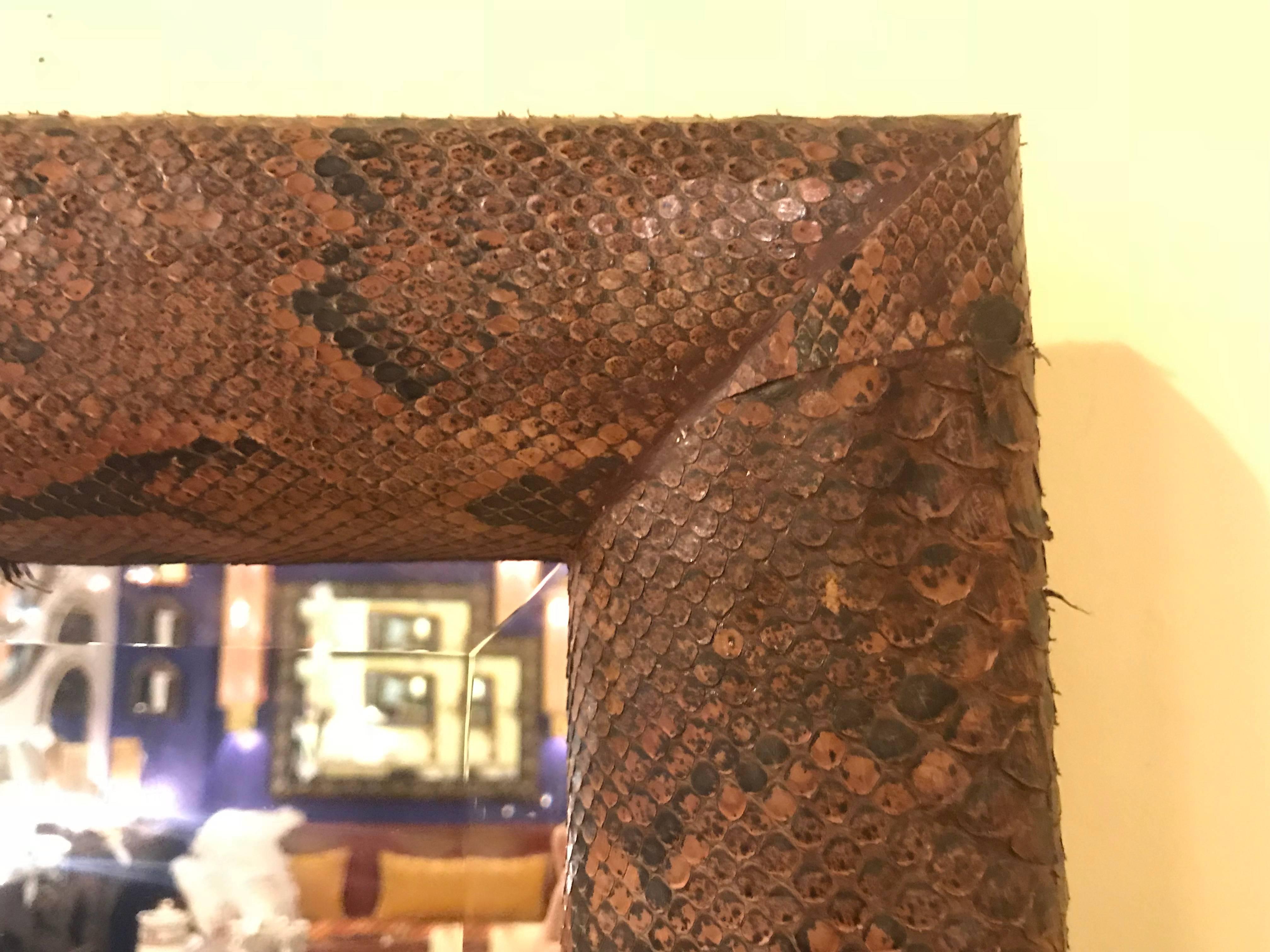 A pair of unique snake skin wall or console mirrors. A pair of custom real snake skin wall or console mirrors.