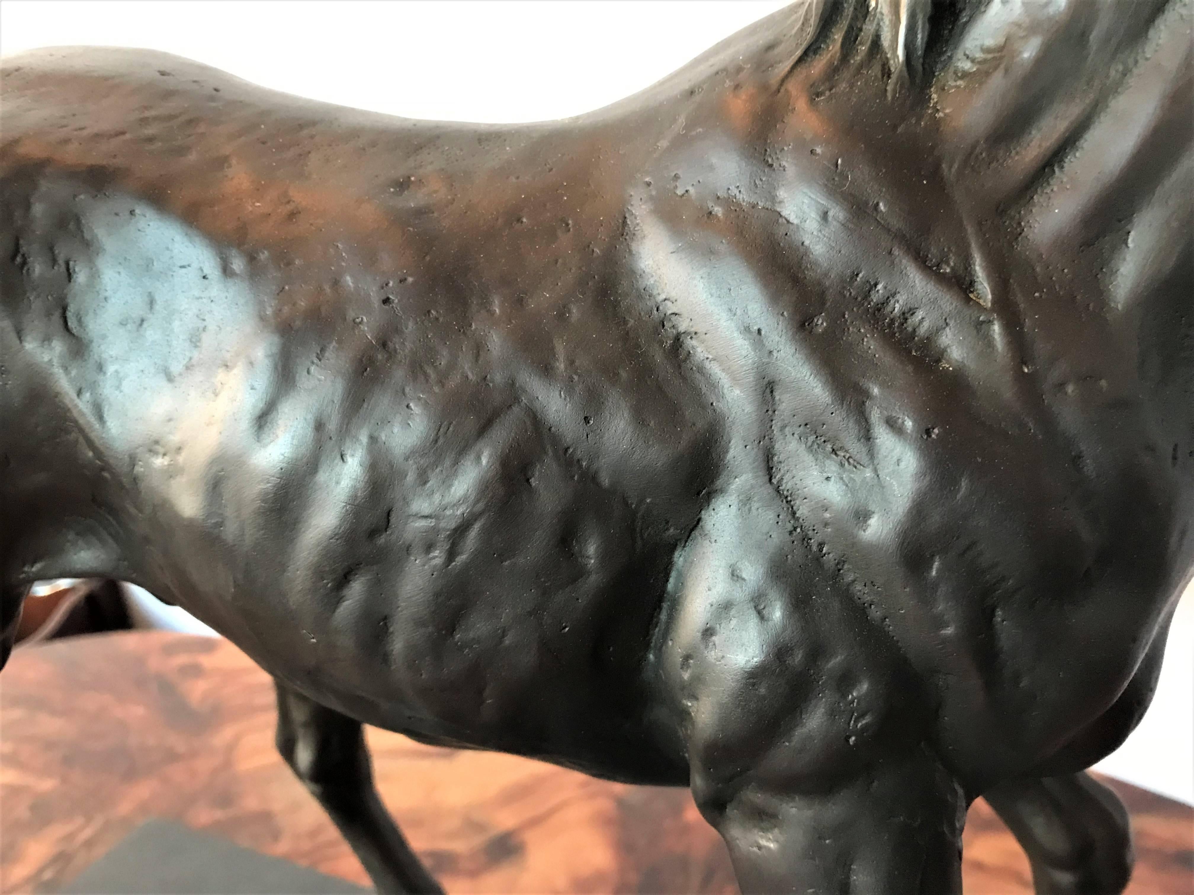 20th Century Bronze Long Eared Stallion