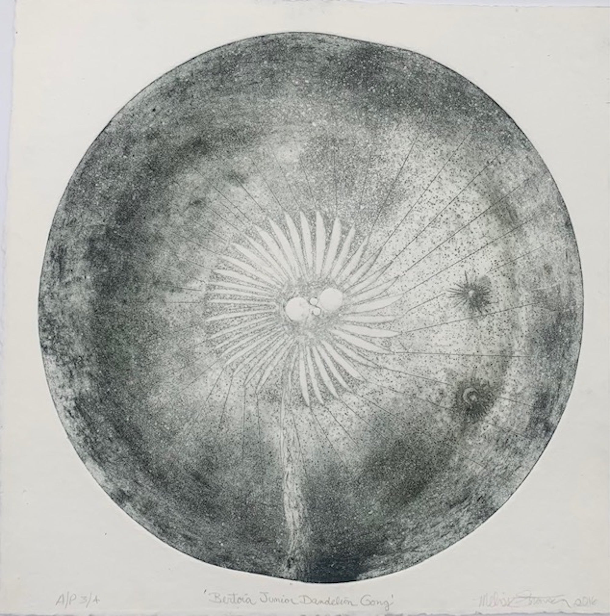 Melissa Strawser Bertoia Junior Dandelion Gong Intaglio Print, 2016 For Sale