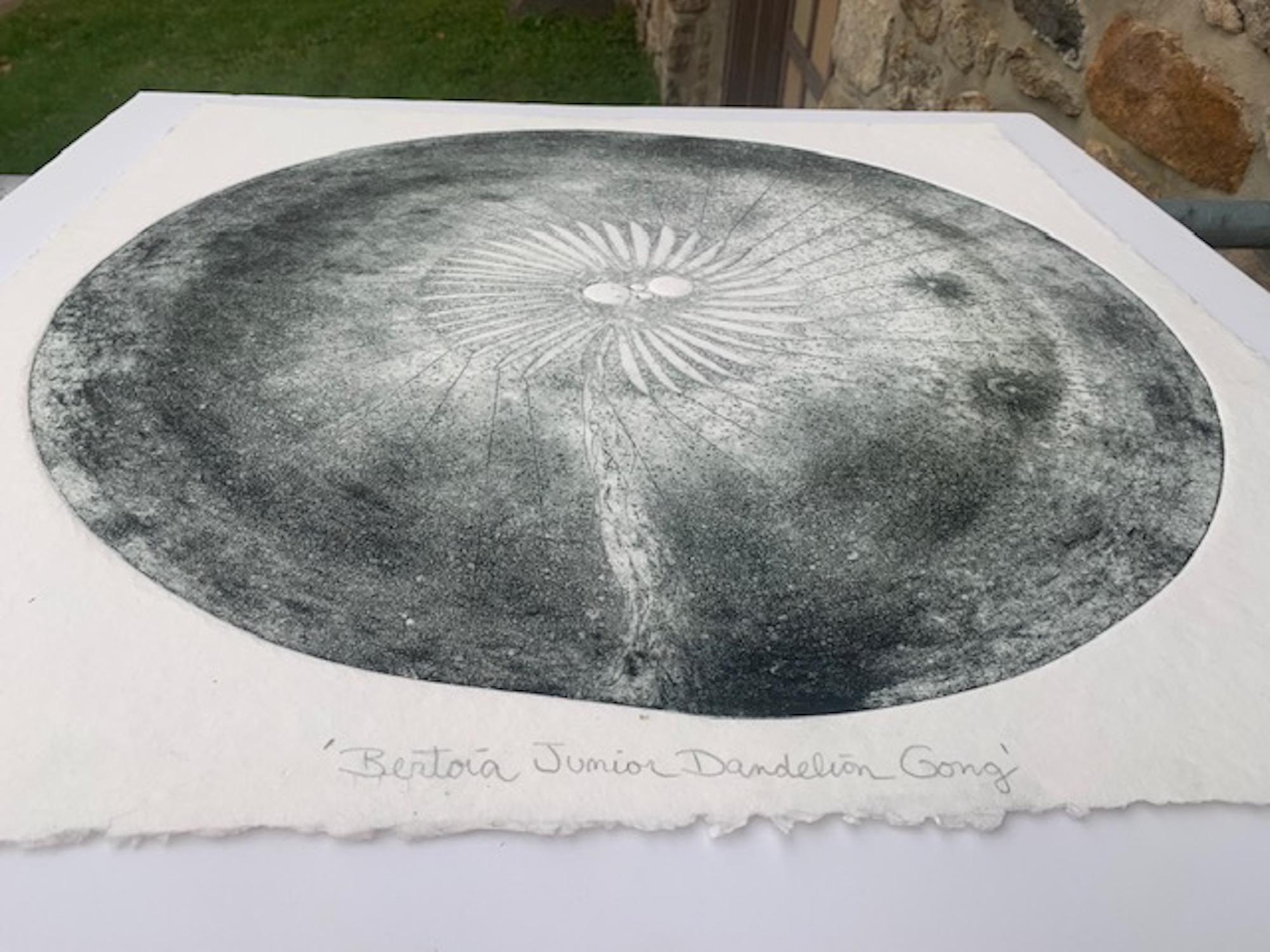 Melissa Strawser Bertoia Junior Diente de león Gong Calcografía, 2016 en venta 1