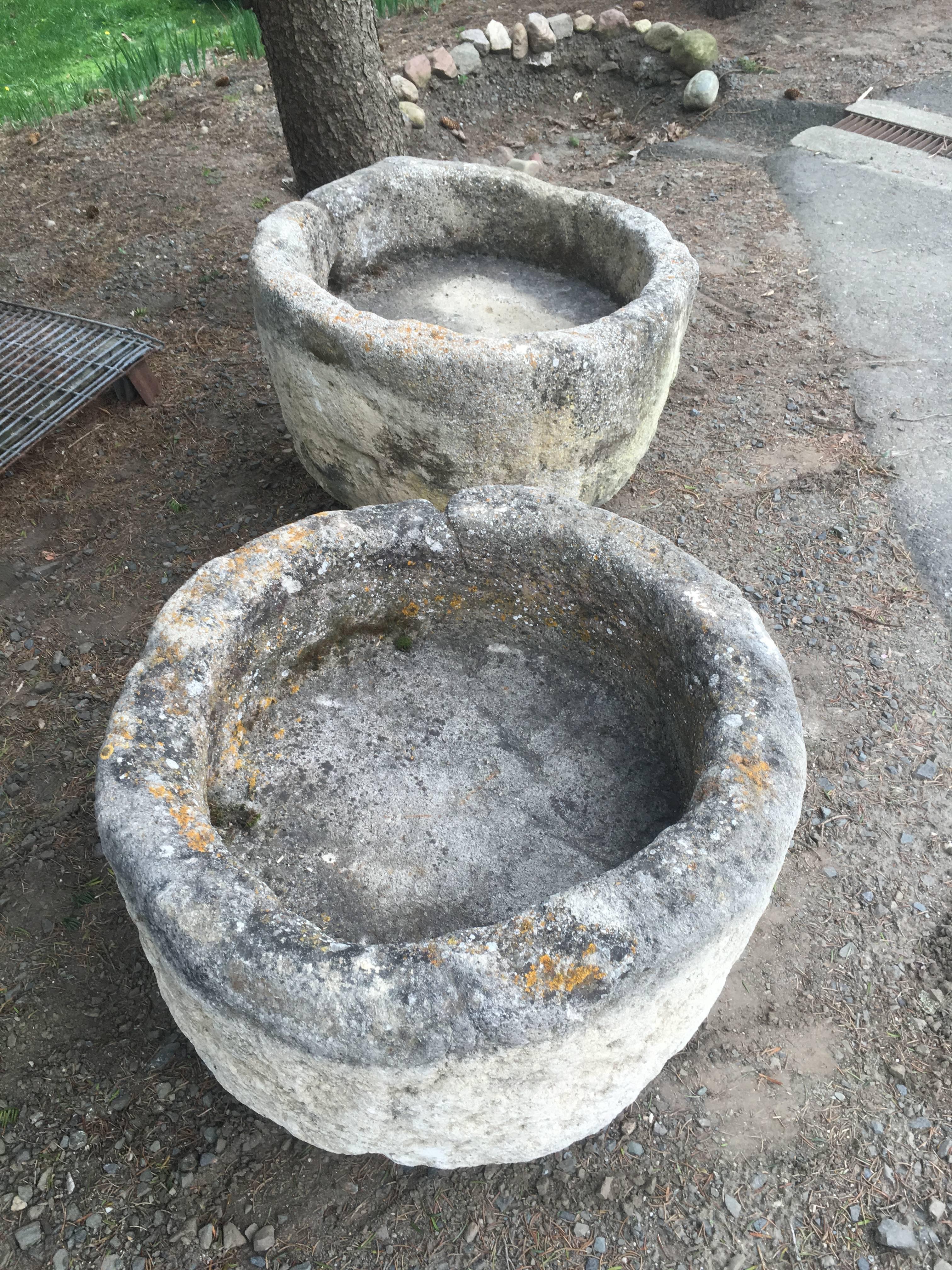 What an unusual pair of stone troughs or planters! Nearly round, and sporting that amazing surface that only age can bestow, we found them in the Southwest of France and had to have them. They would be wonderful with clipped balls of boxwood