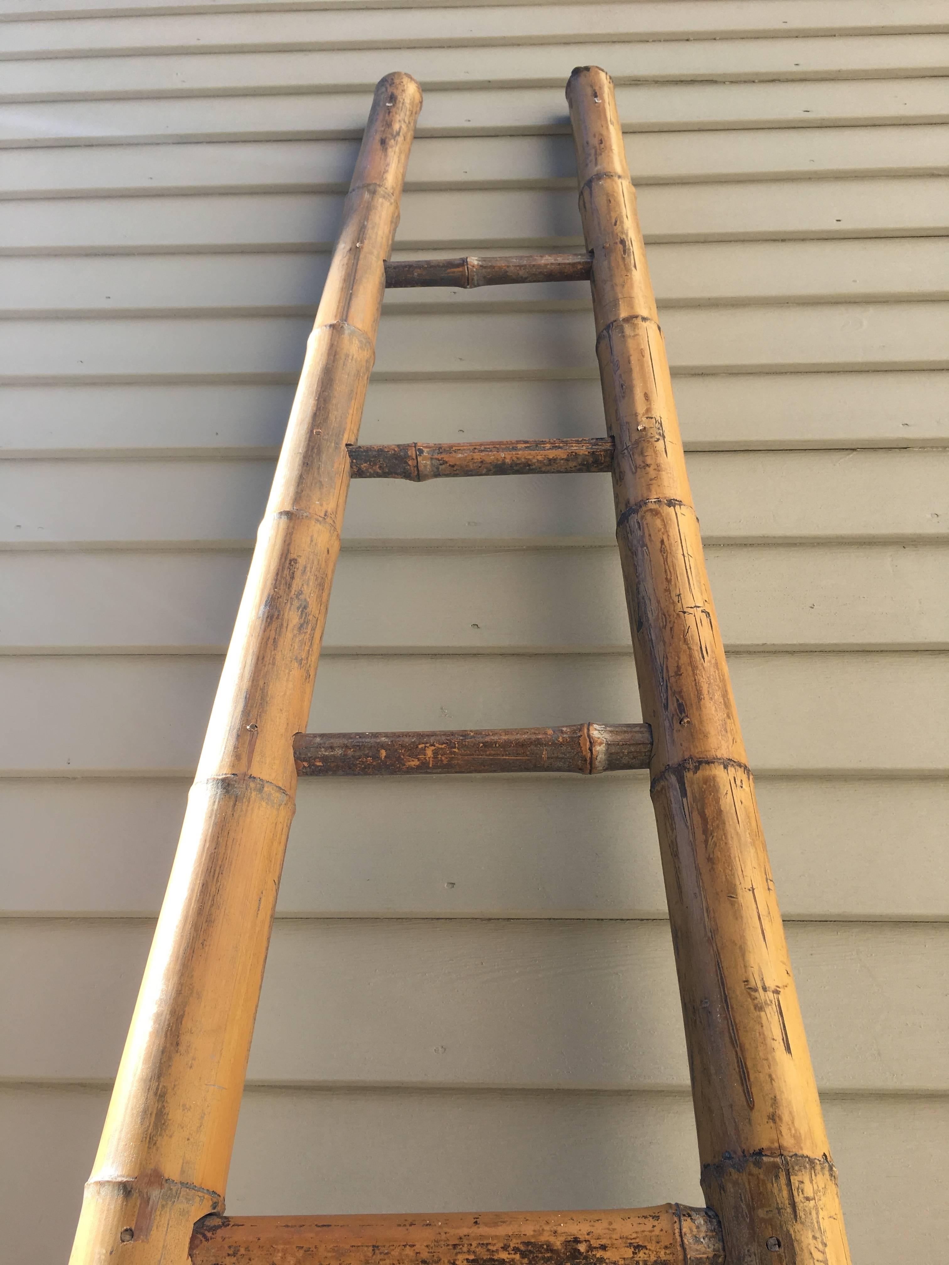 very tall ladder
