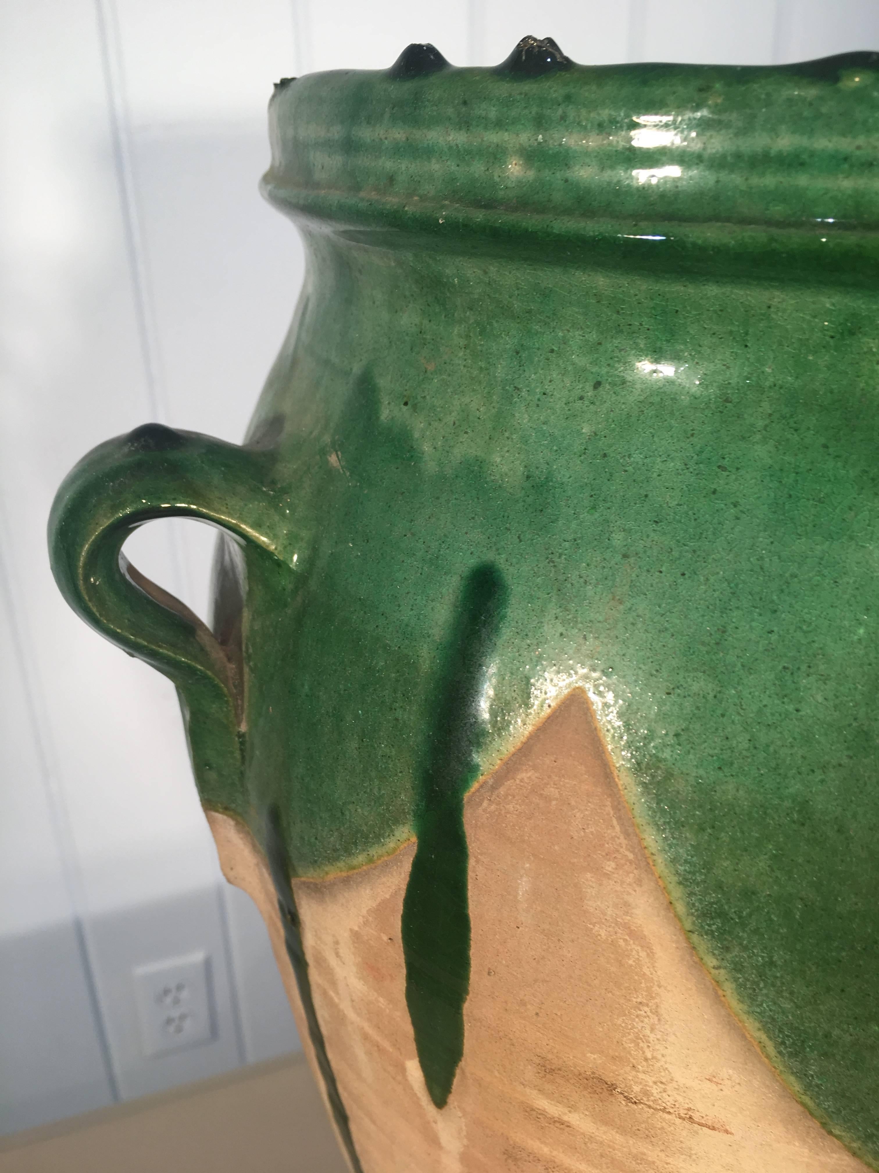 glazed terracotta pot