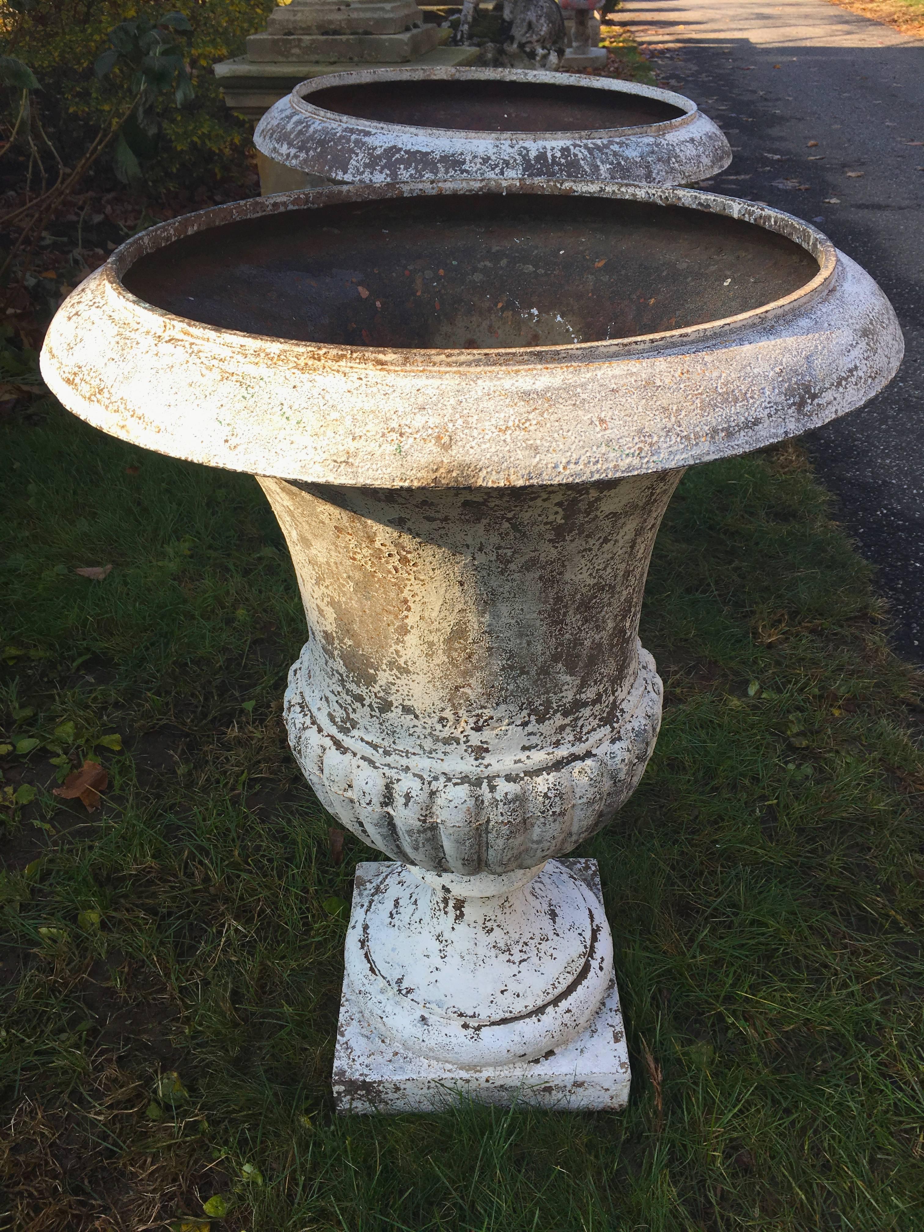 Magnificent Pair of Estate-Sized Early French Cast Iron Medici Urns In Good Condition In Woodbury, CT