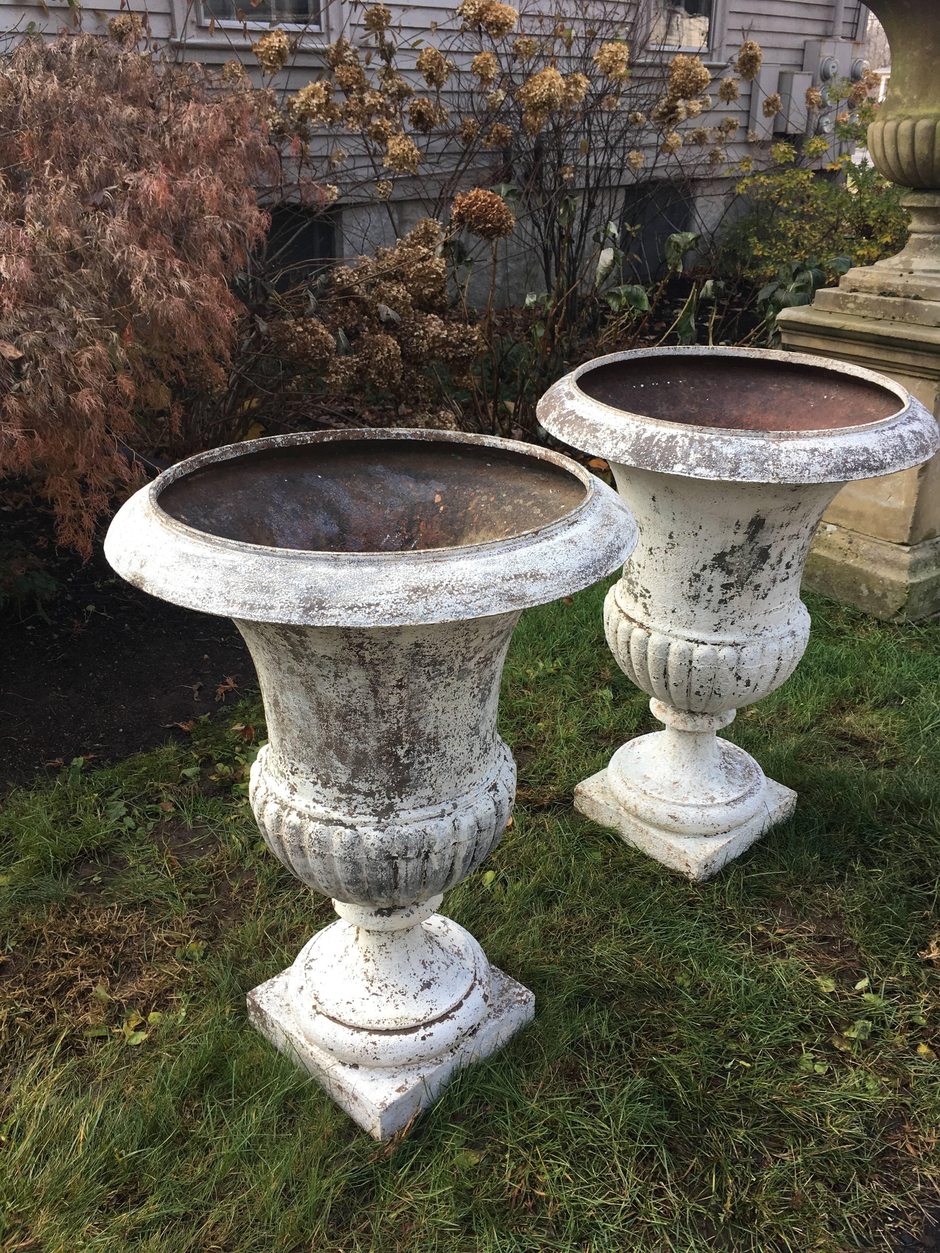 Neoclassical Magnificent Pair of Estate-Sized Early French Cast Iron Medici Urns