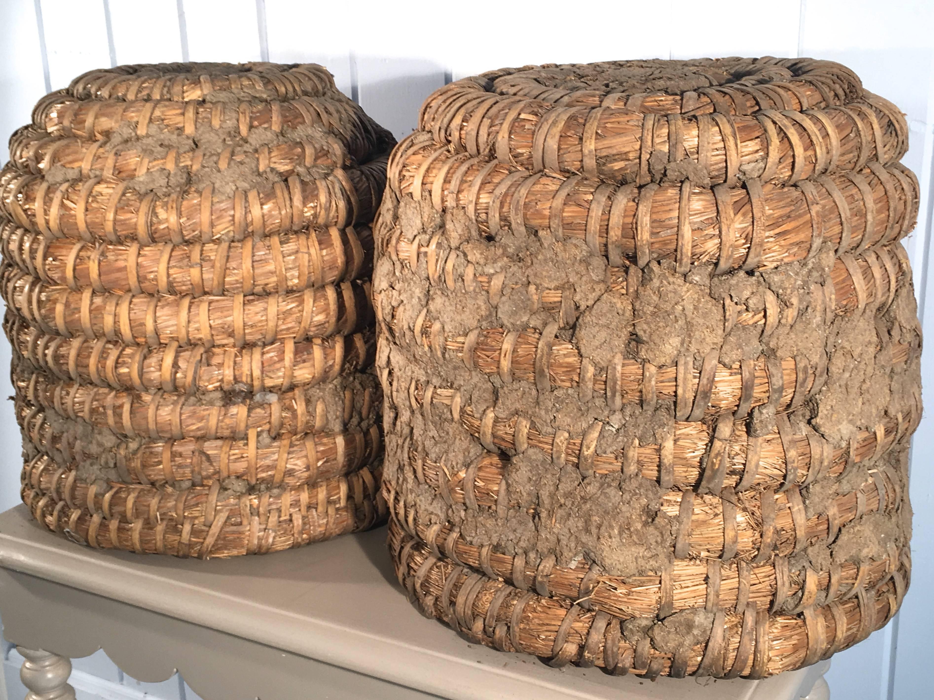 This lovely pair of bee skeps is in all original condition with matted dirt still in the crevices. Fresh from an apiary near Hamburg, they would make stunning accent pieces, wastepaper baskets, or they can be converted into hanging pendant lights.