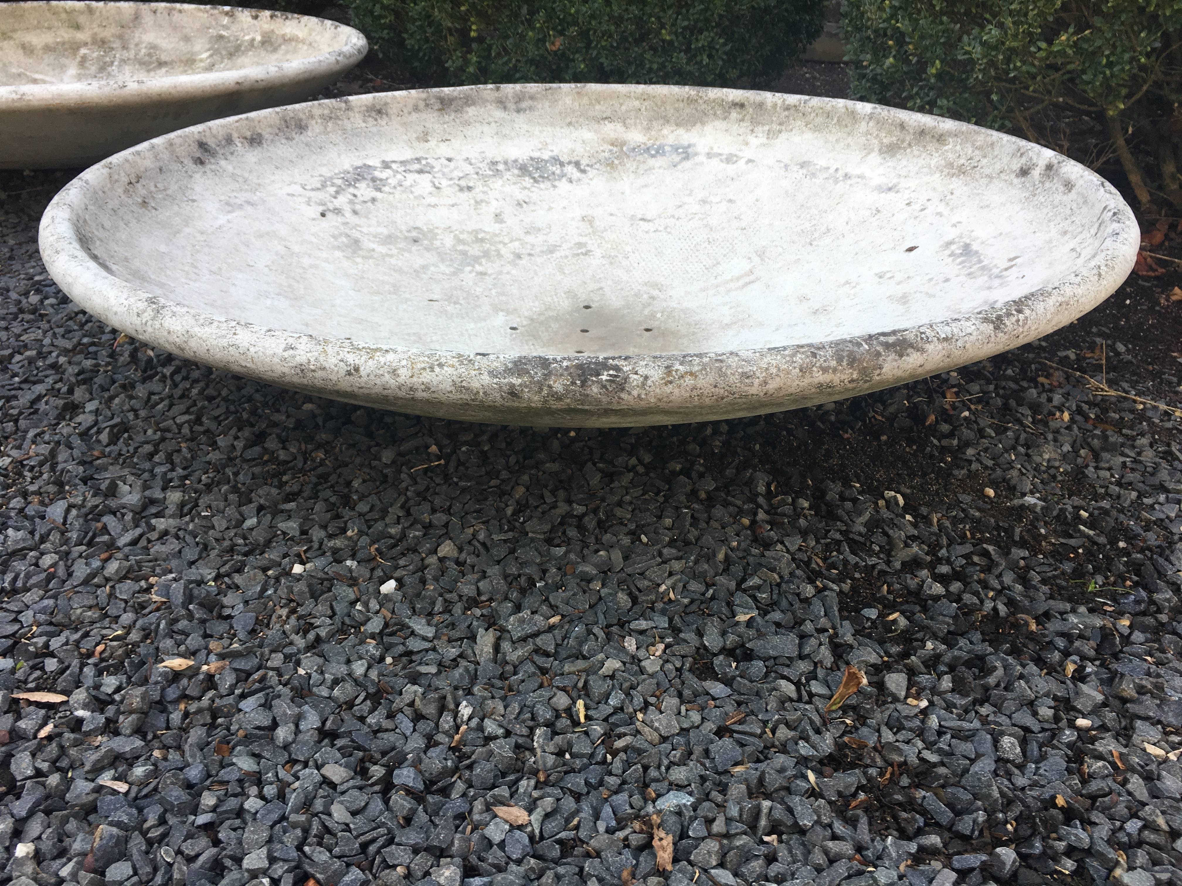 Mid-Century Modern Pair of Large Willy Guhl Saucer Planters