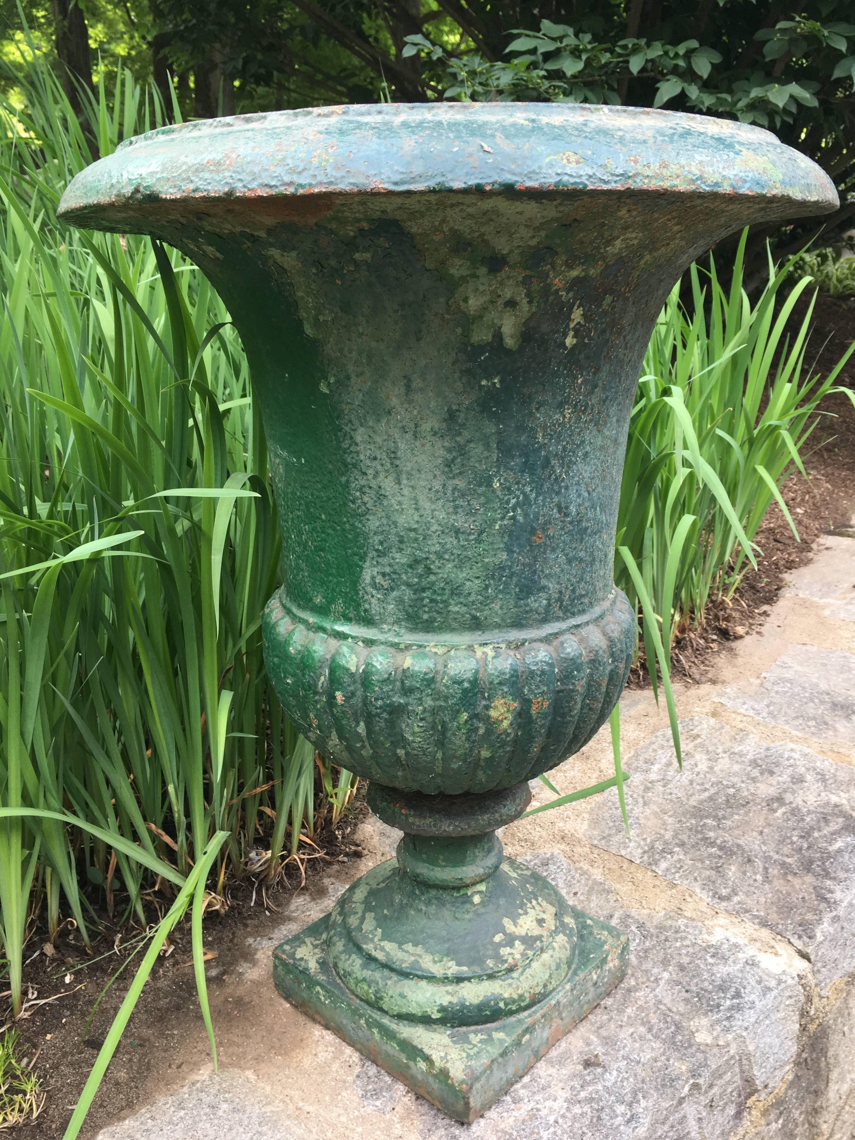 This tall classical cast iron campana-form urn has the most beautiful old green painted surface and is in exceptional condition. With a plain, everted rim and semi-lobed body, it is the perfect accent piece beside your front door or standing alone