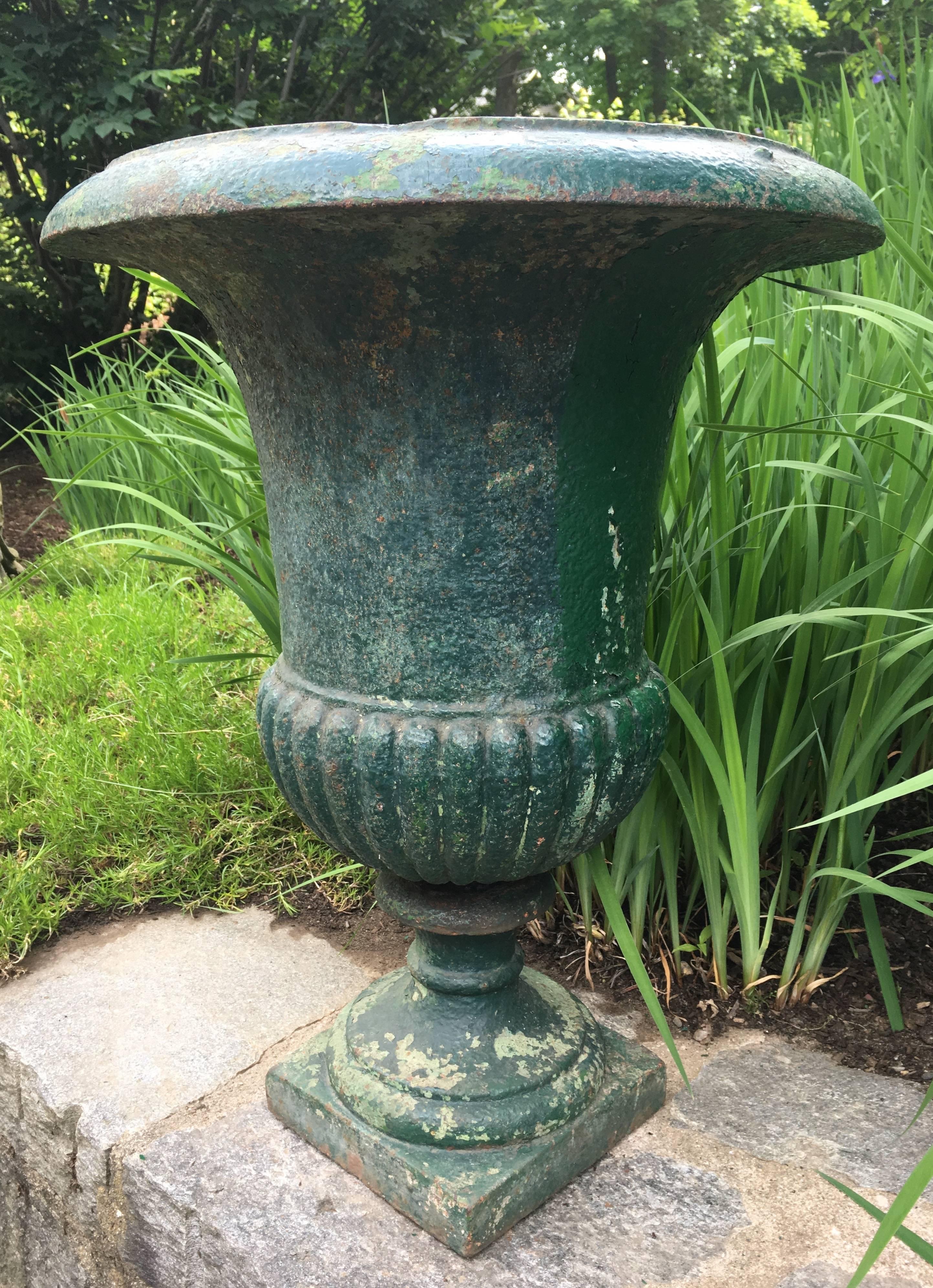 campana urns