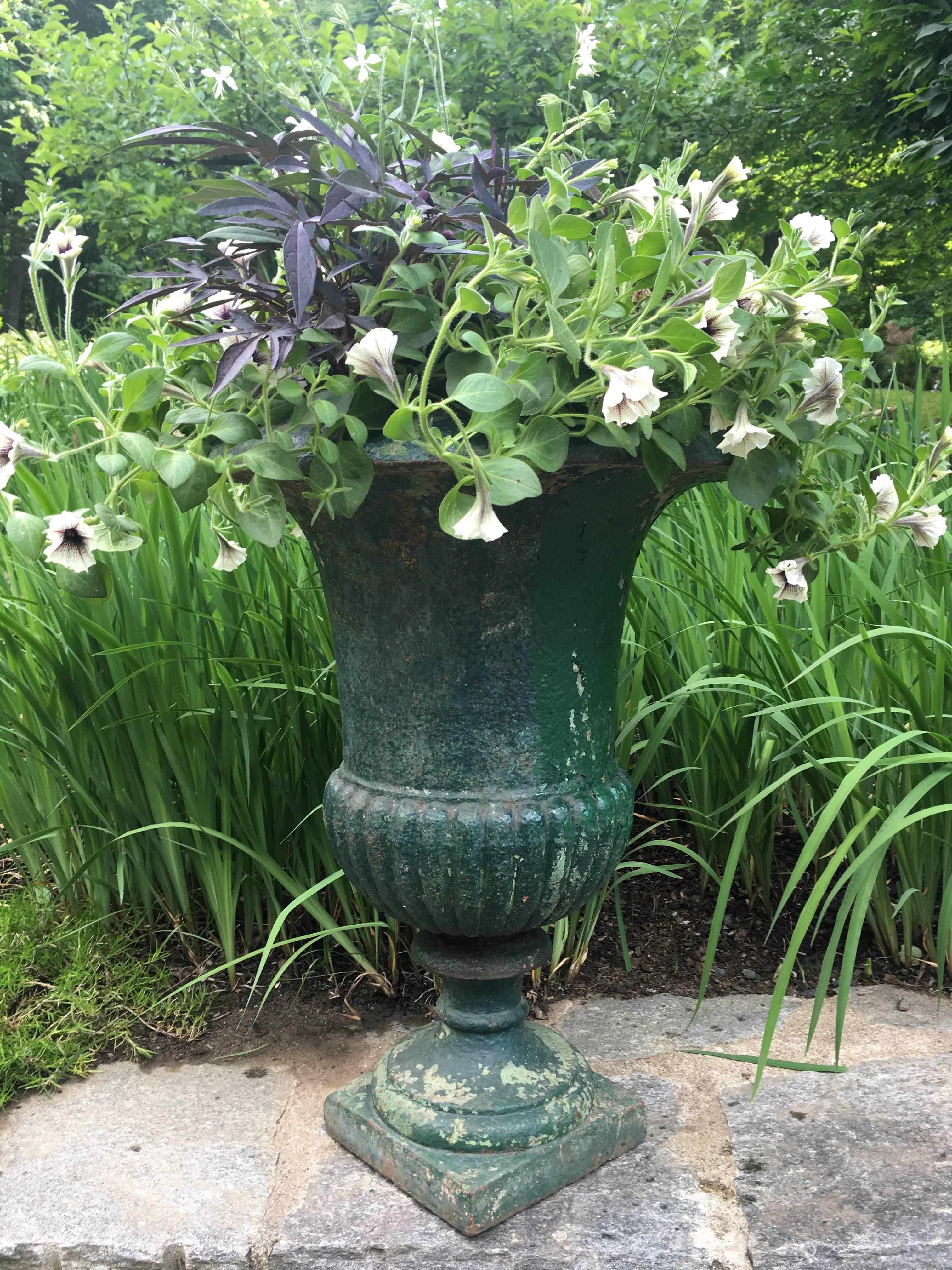 french urn