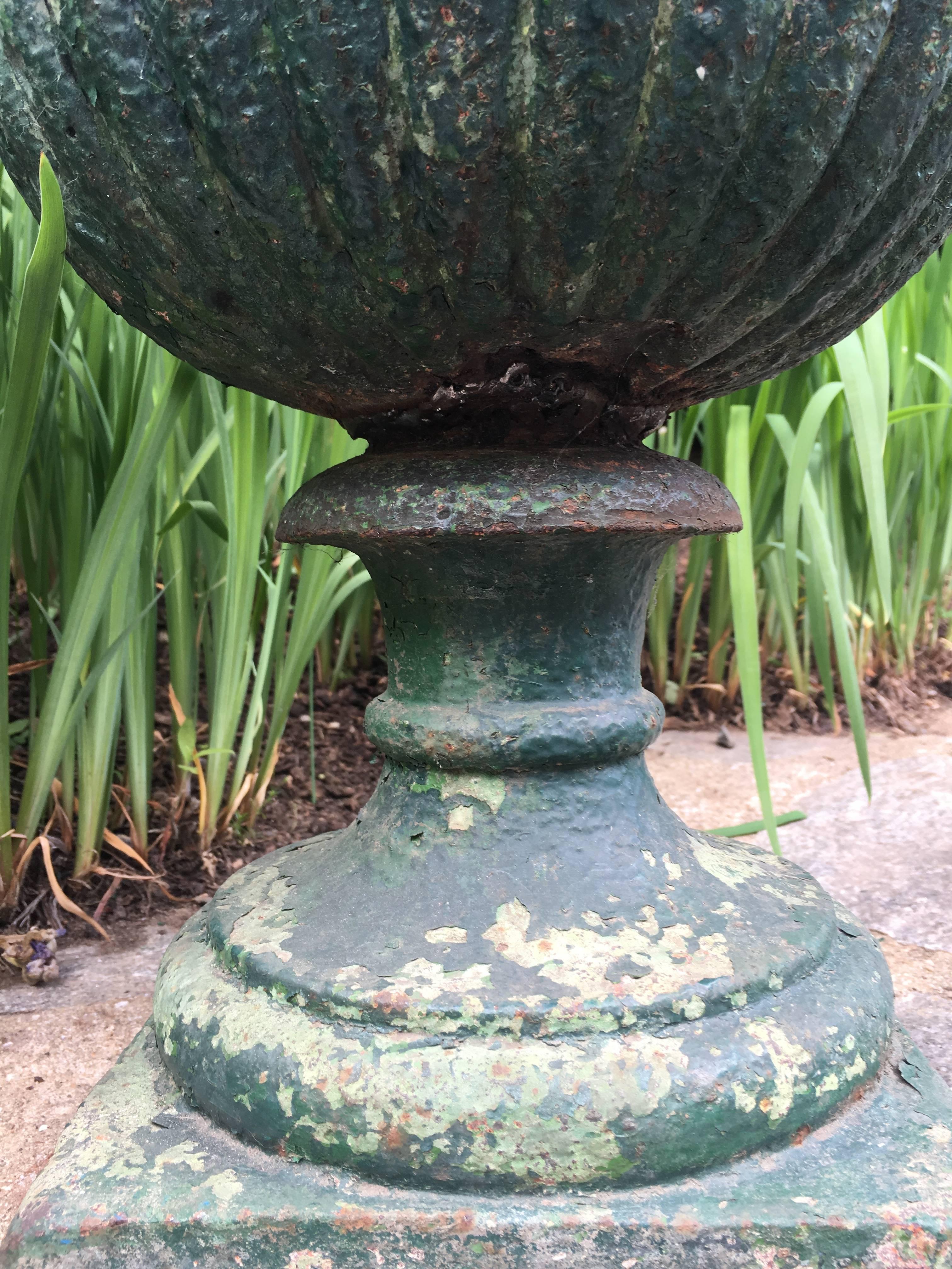 Napoleon III Tall French 19th Century Cast Iron Campana Urn For Sale