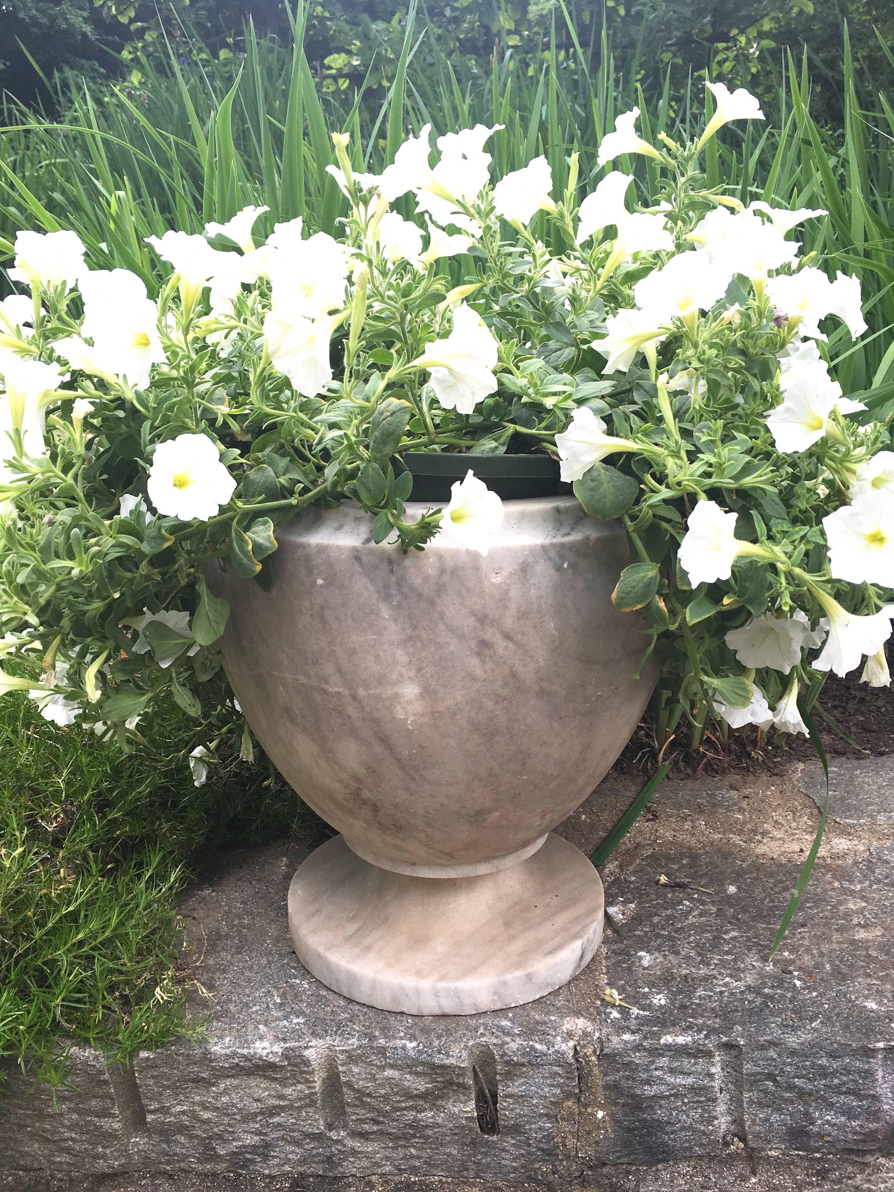 This lovely marble urn is the perfect size for a tabletop or as an accent piece on a step. With a deep planting well, it can accommodate a profuse planting and its classical shape makes it a great complement in either a traditional or contemporary