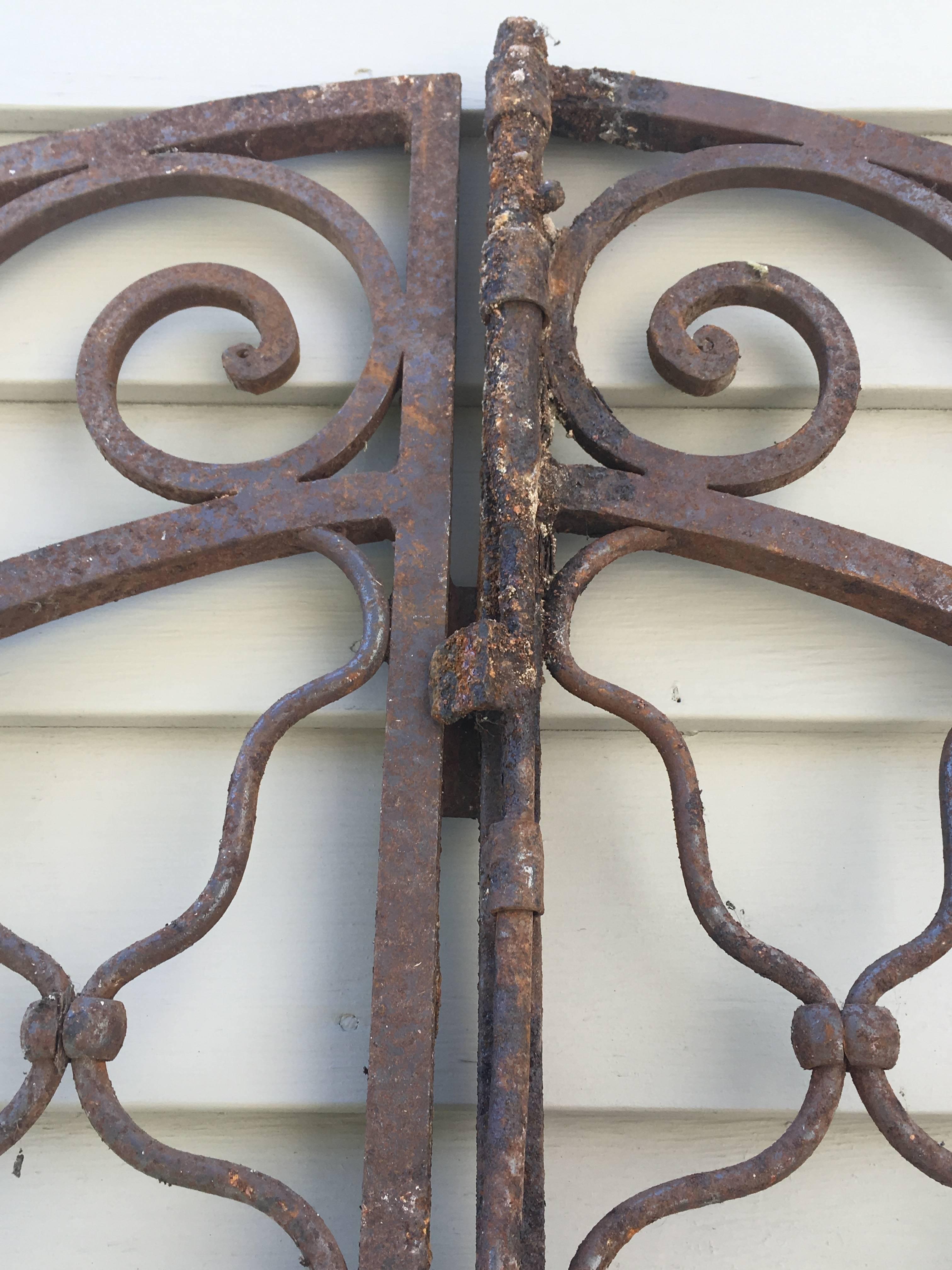 Pair of Tall French Wrought Iron Gates In Excellent Condition In Woodbury, CT