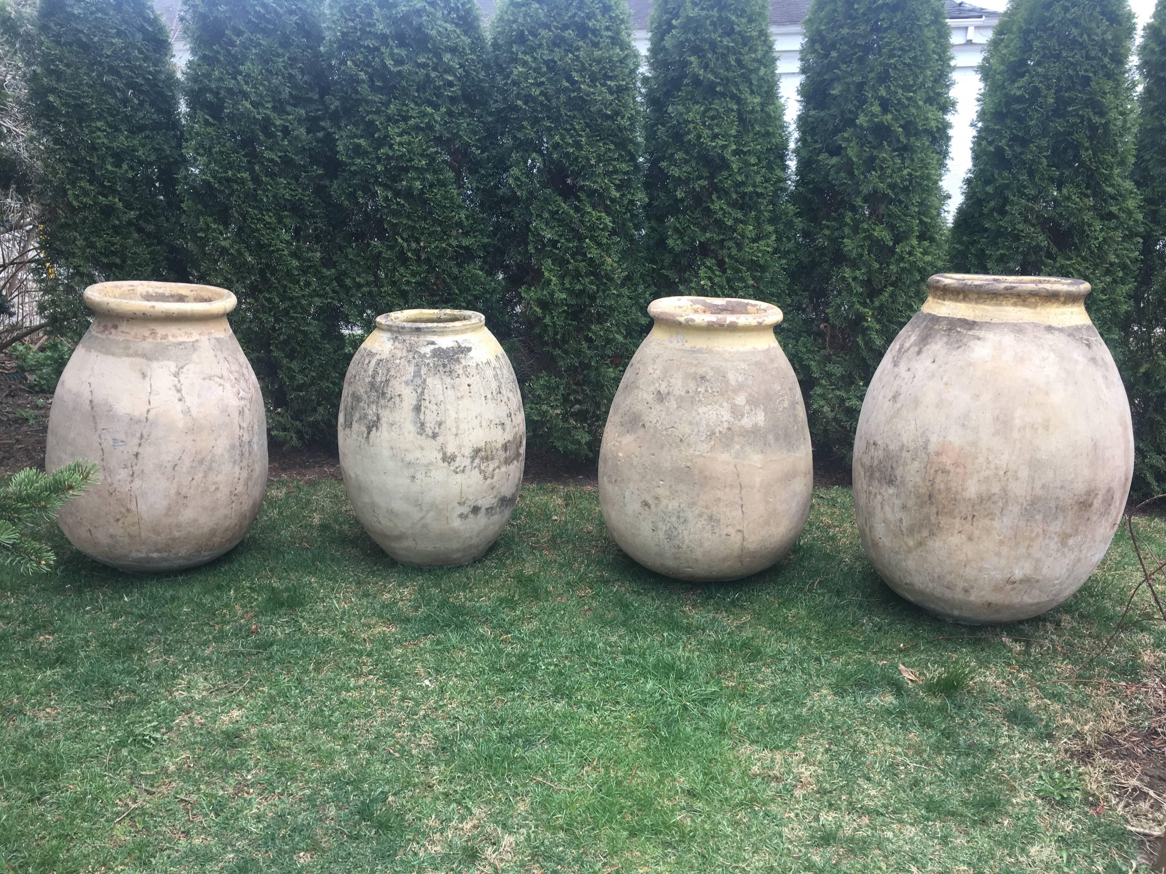 Enormous Rare 18th Century French Terracotta Biot Pot 2