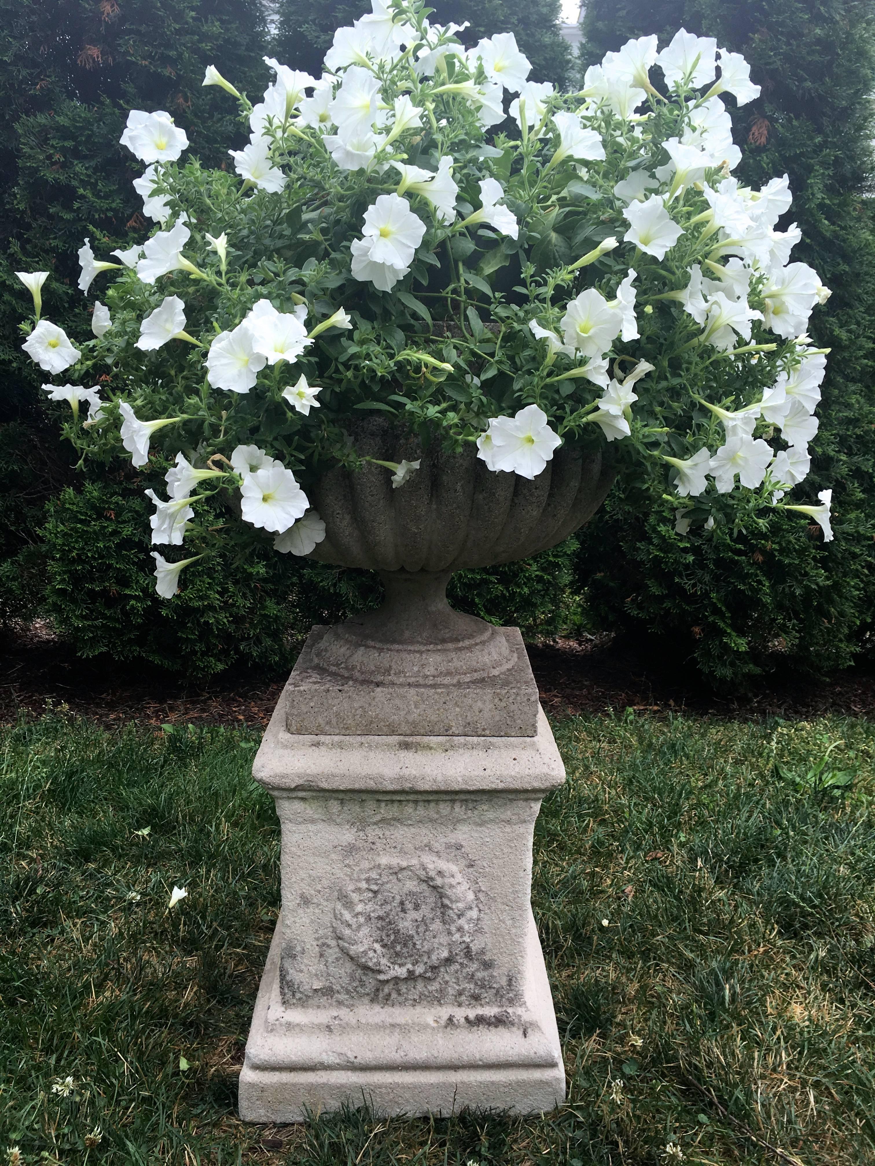 A highly desirable form, this beautifully-weathered melon-form cast stone urn has a large planting well and so can accommodate a profuse planting. We have paired the urn with a conforming cast stone plinth with panels on each side with laurel wreath