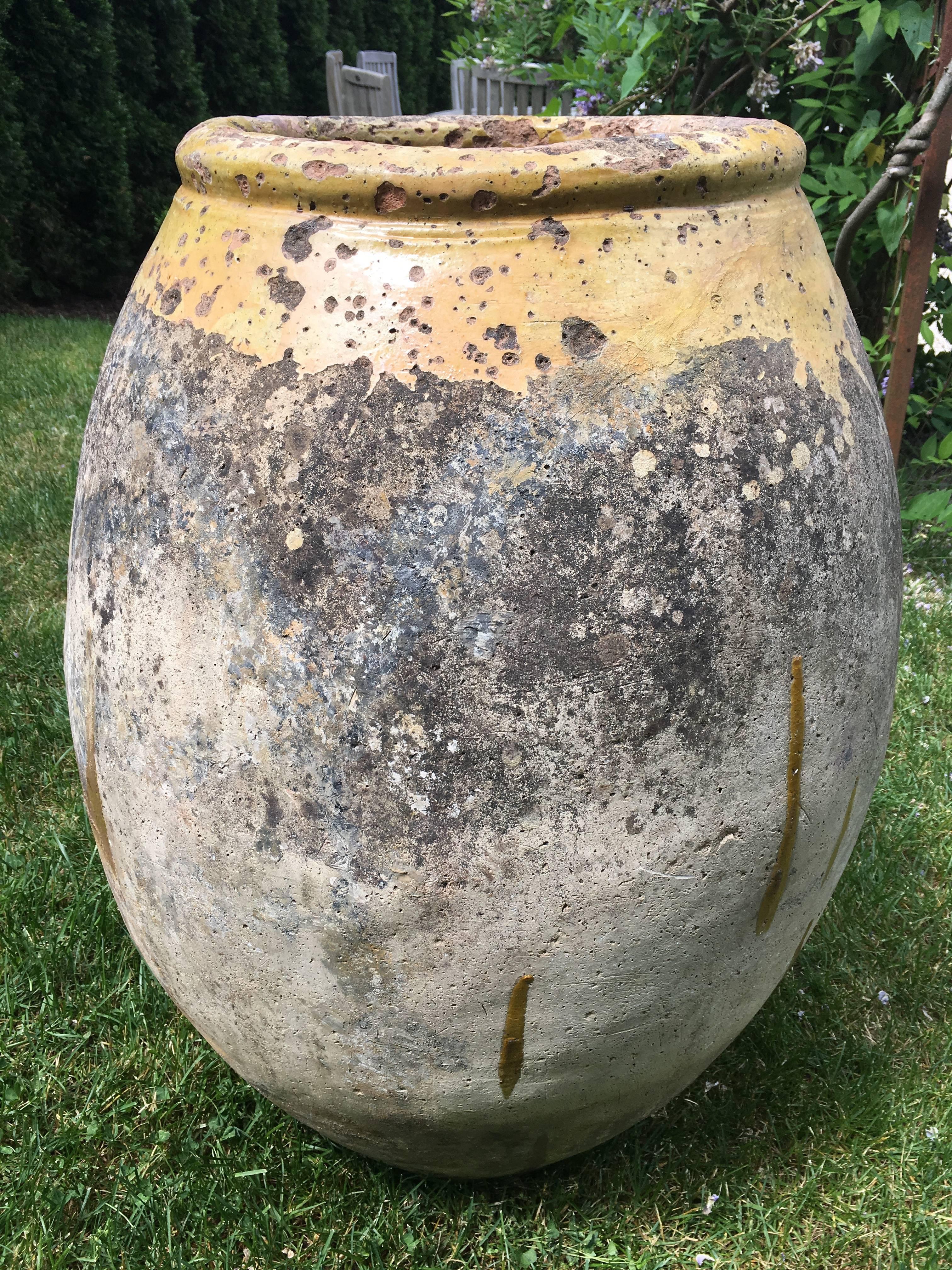 Il s'agit d'un magnifique exemple de jarre ou de poterie de Biot du XVIIe siècle, originaire de la ville de Biot en Provence. Ces récipients, glacés à l'intérieur et sur le bord extérieur, étaient utilisés pour contenir de l'huile. Ce récipient est