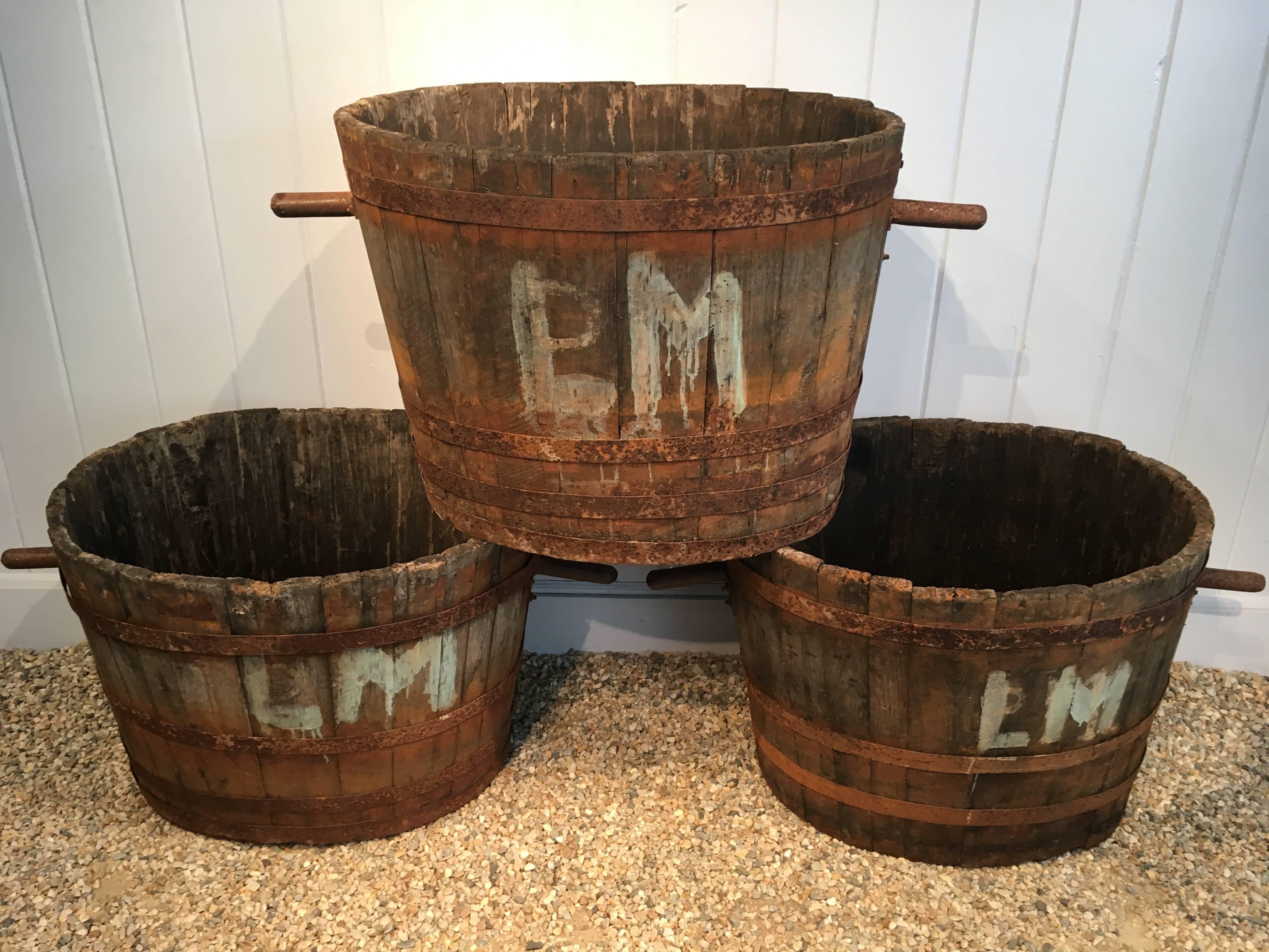 We love these early 20th century wooden buckets with riveted iron handles and would use them as planters in a rustic setting. Found near Bordeaux, they have been marked 