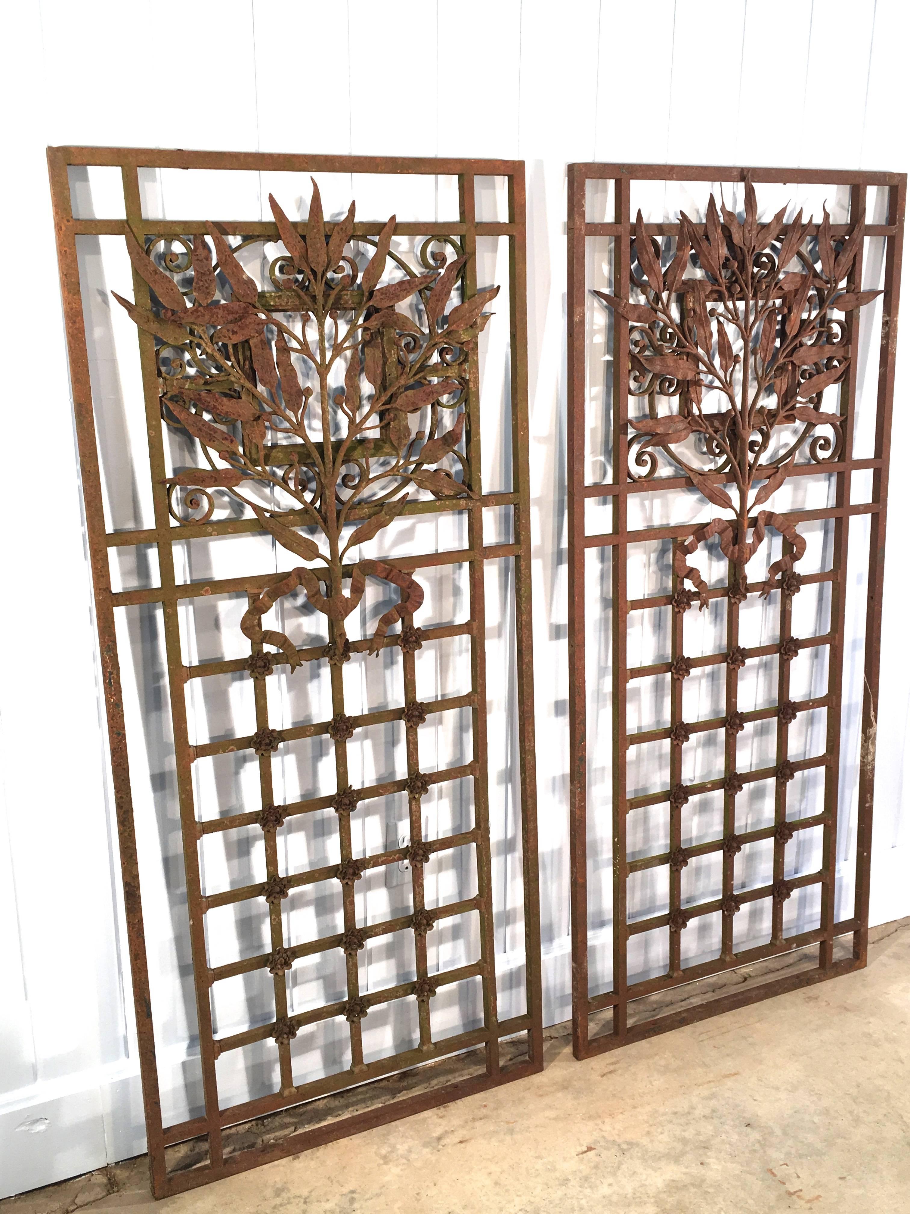 This pair of Beaux Arts grilles is extraordinary in all respects. Each features a prominent spray of hand-wrought leaves and stemmed berries fanning out from a beribboned decoration near the centre point. The bottom halves of the grilles comprise