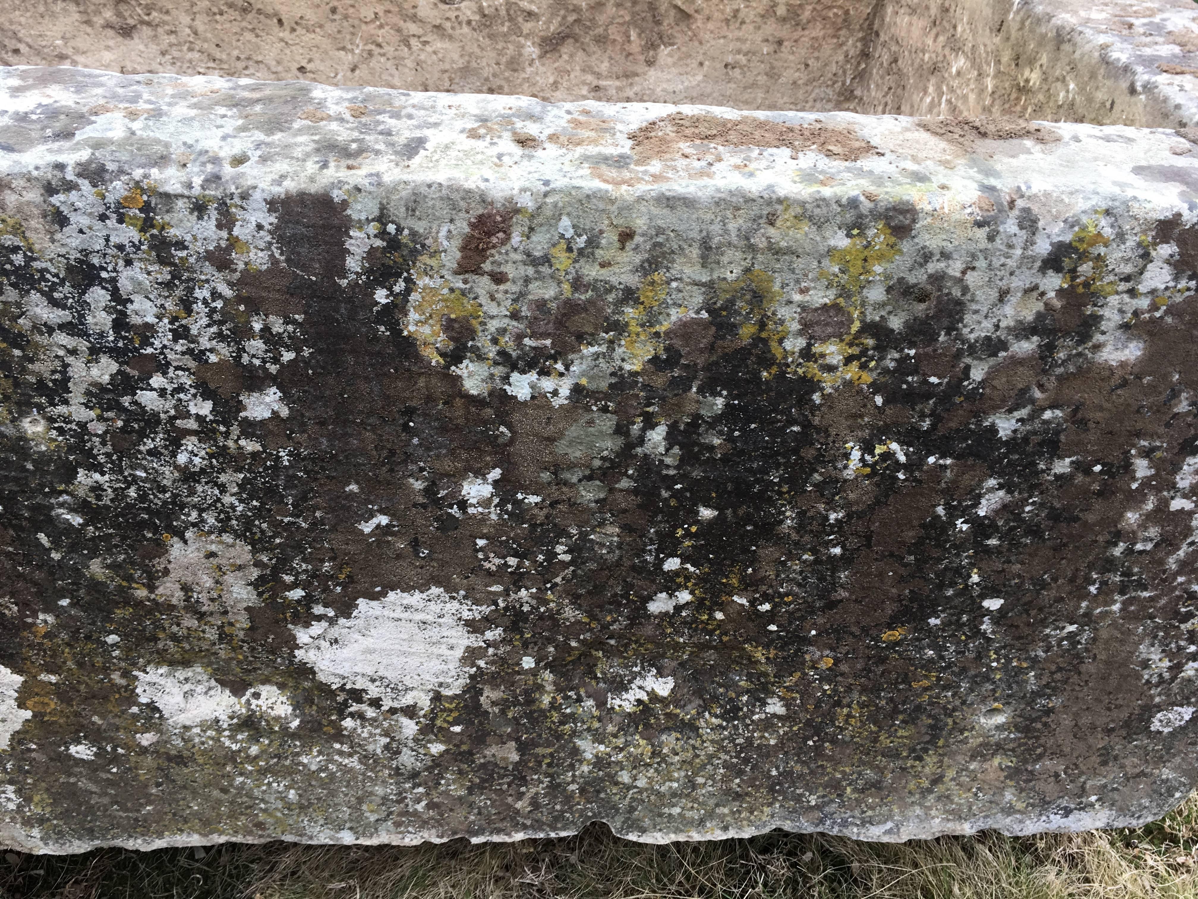 Enormous 18th Century Hand-Carved French Limestone Trough 4