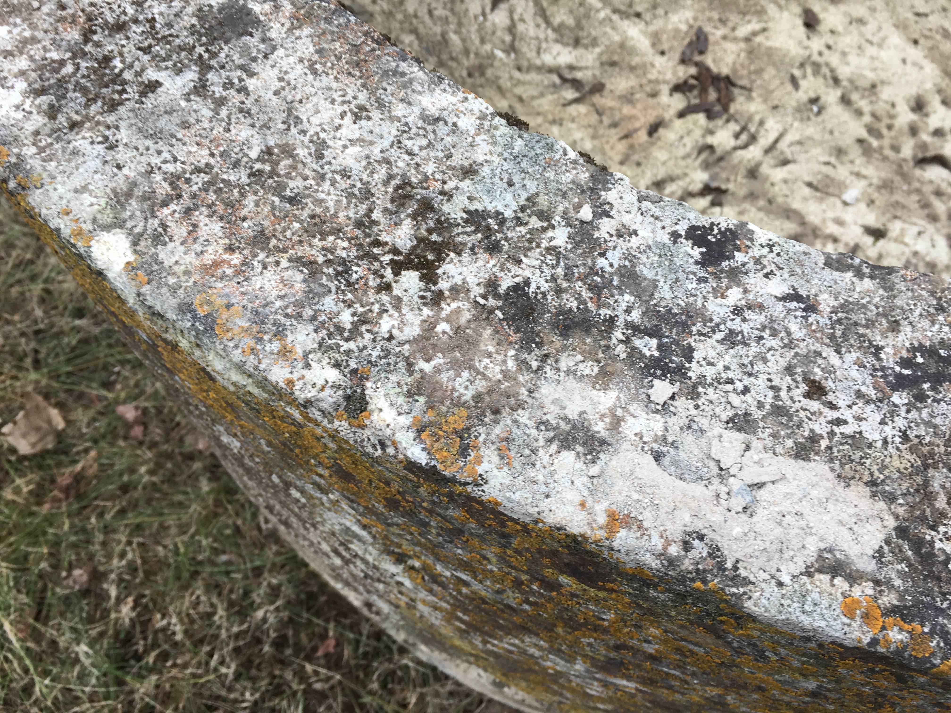 Rare and Very Large Round 18th Century French Hand-Carved Limestone Trough 4