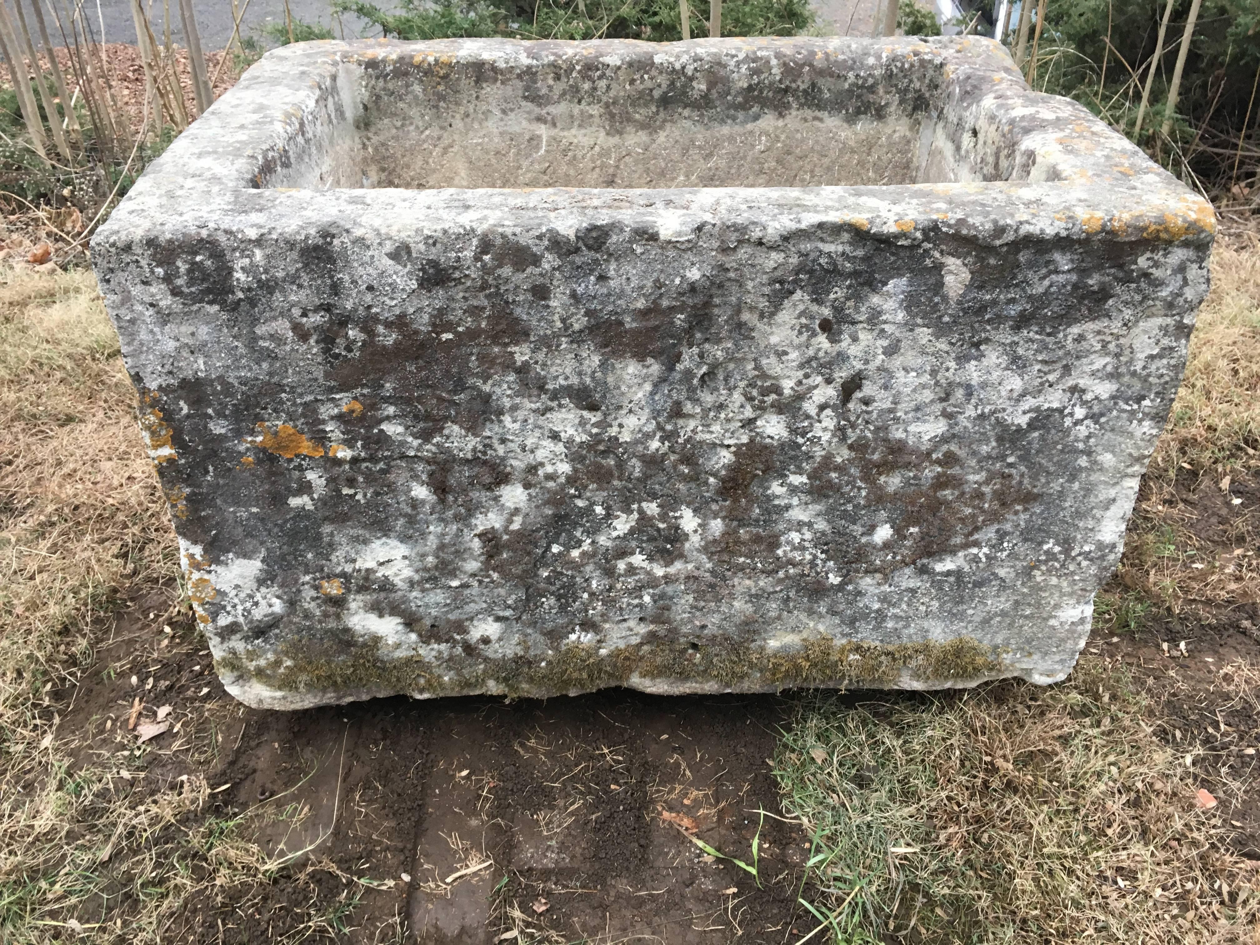 This late 18th century hand-carved limestone trough is relatively petite compared to CTR 1016 and CTR 1018, but its stunning patina and more manageable size make it an excellent candidate as a strong focal point in a medium-sized garden. The patina