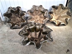 Large Willy Guhl Biomorphic Planter