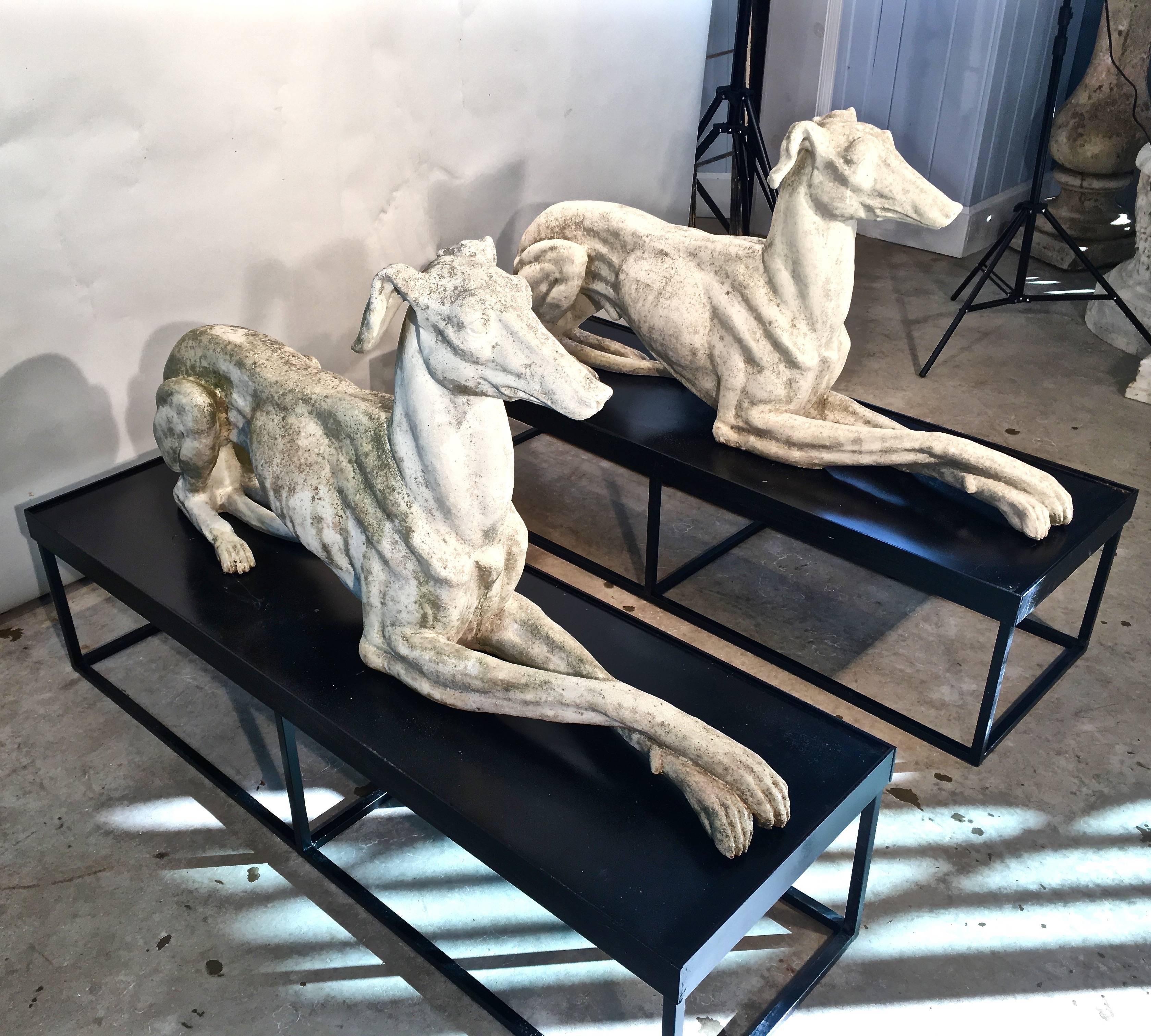 If you are into dogs, these may be the pair for you! Identical in form, and with a lightly-weathered patina, these life-sized greyhounds don't have a huge amount of age, but they are truly impressive in the flesh. Left outside year-round, they will