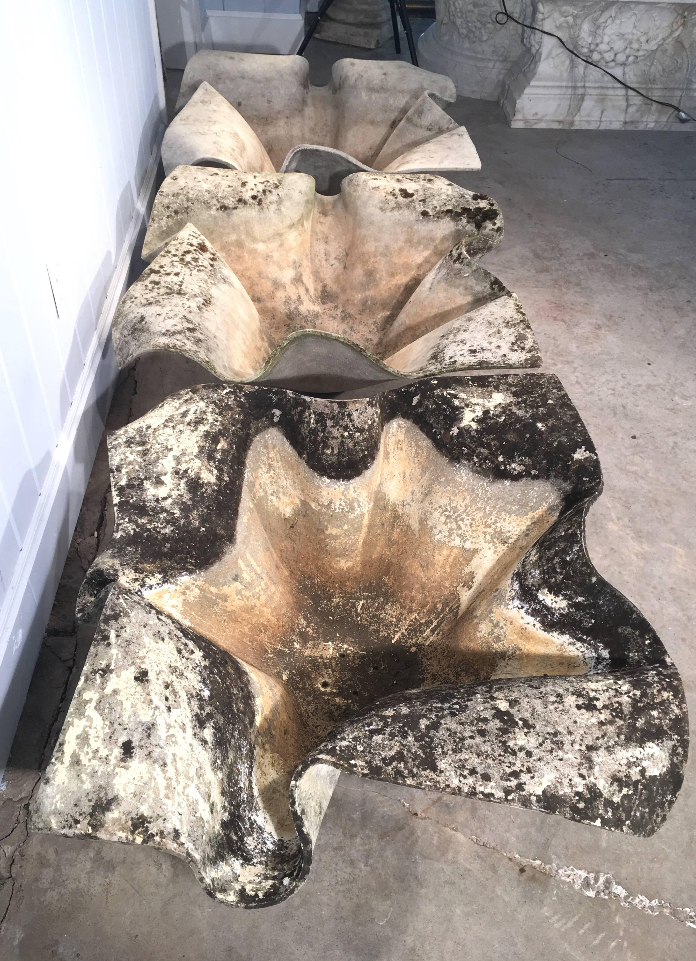 Three Huge Willy Guhl Elephant Ear Planters In Excellent Condition In Woodbury, CT