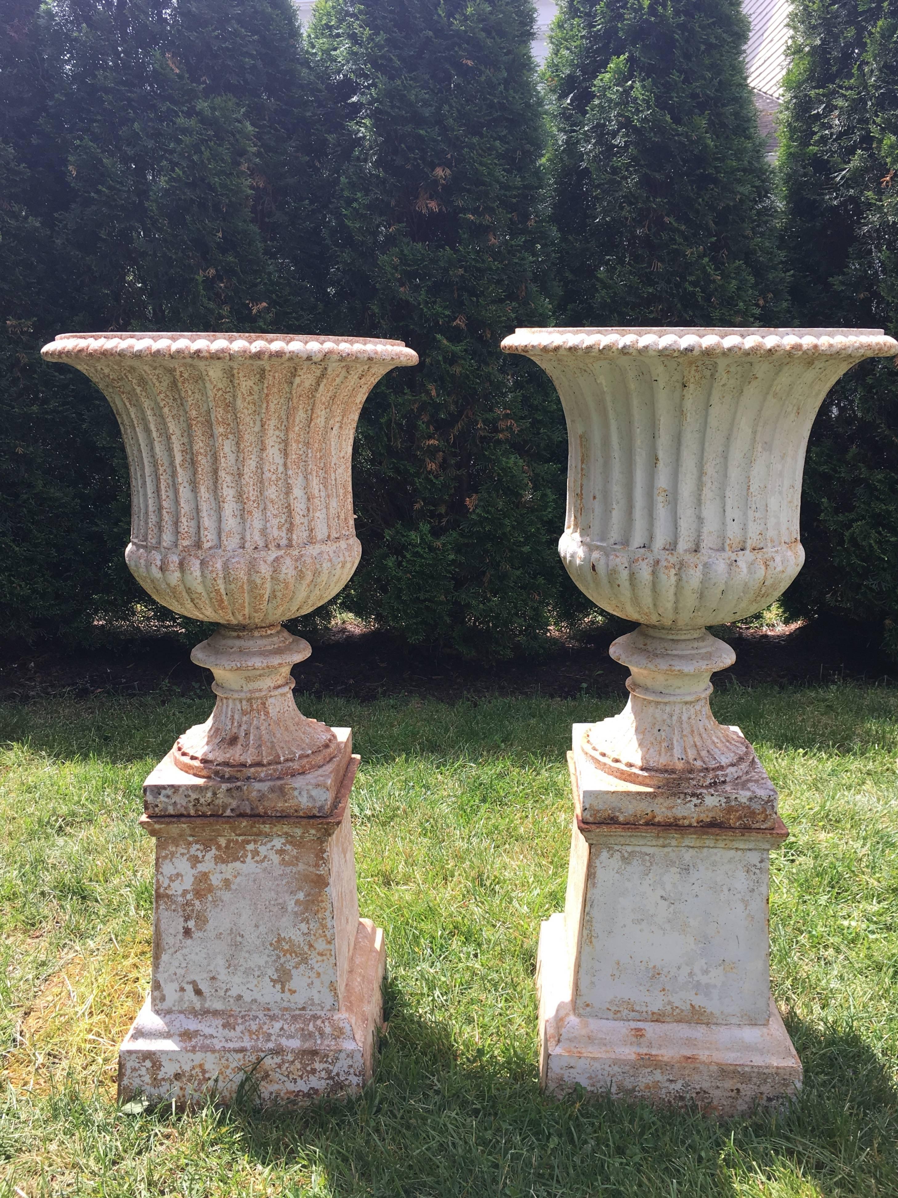 Late Victorian Classical Pair of 19th Century Cast Iron Campana Urns on Original Plinths
