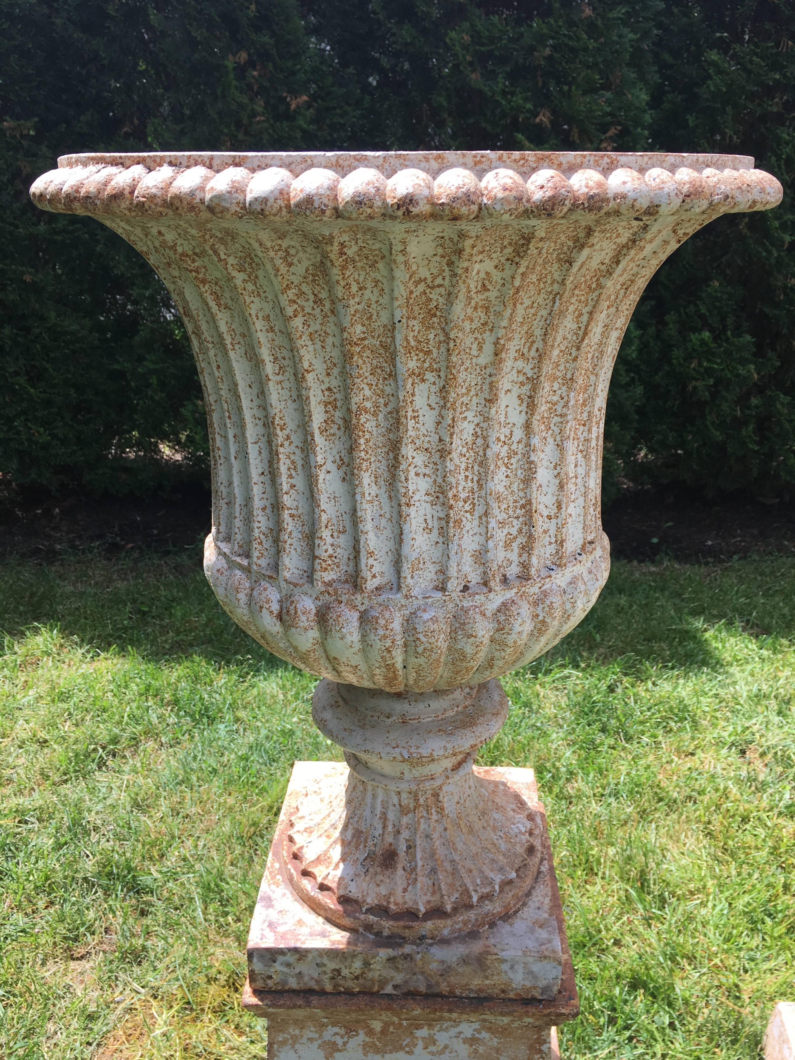 Classical Pair of 19th Century Cast Iron Campana Urns on Original Plinths 1