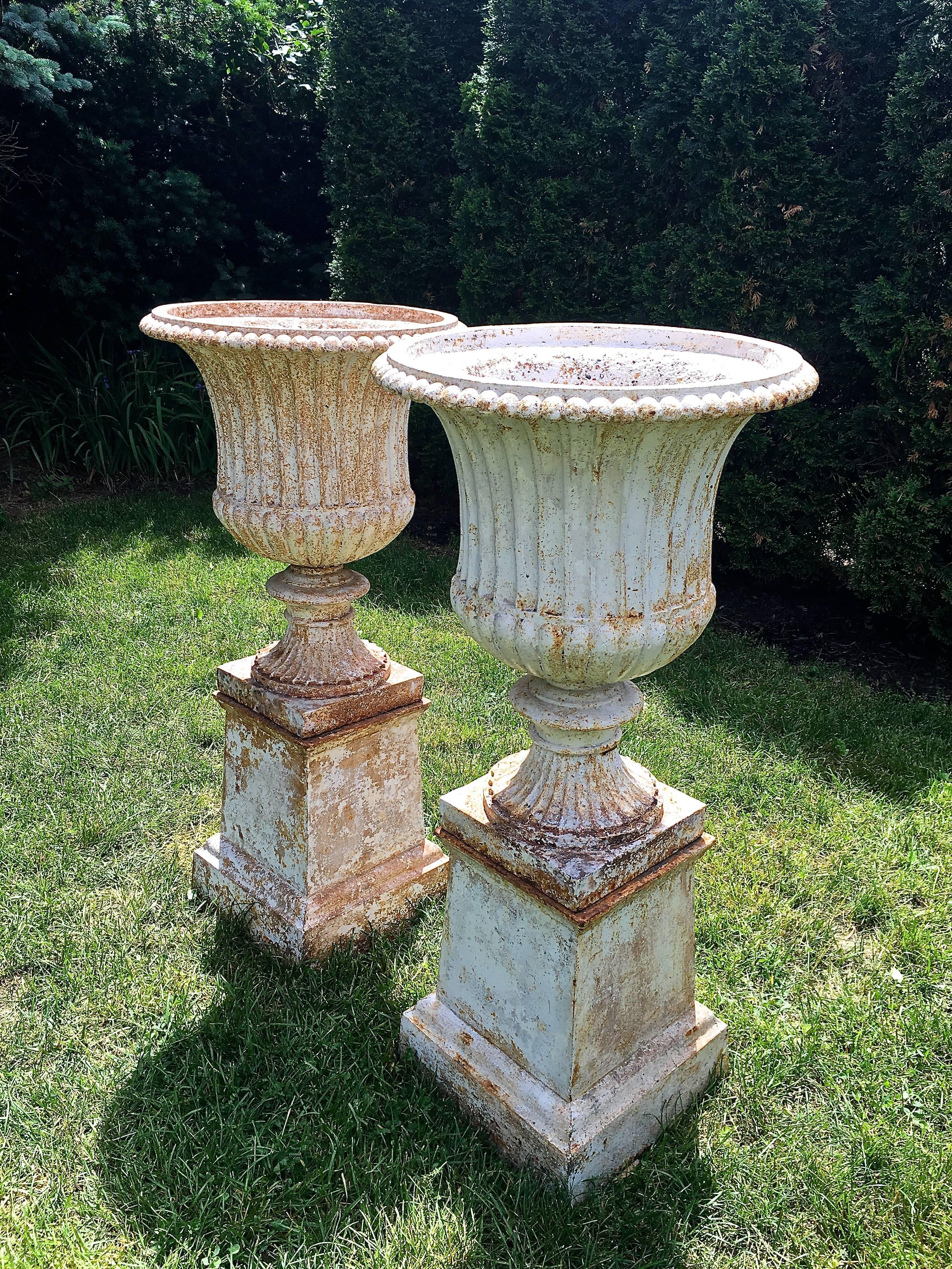 British Classical Pair of 19th Century Cast Iron Campana Urns on Original Plinths