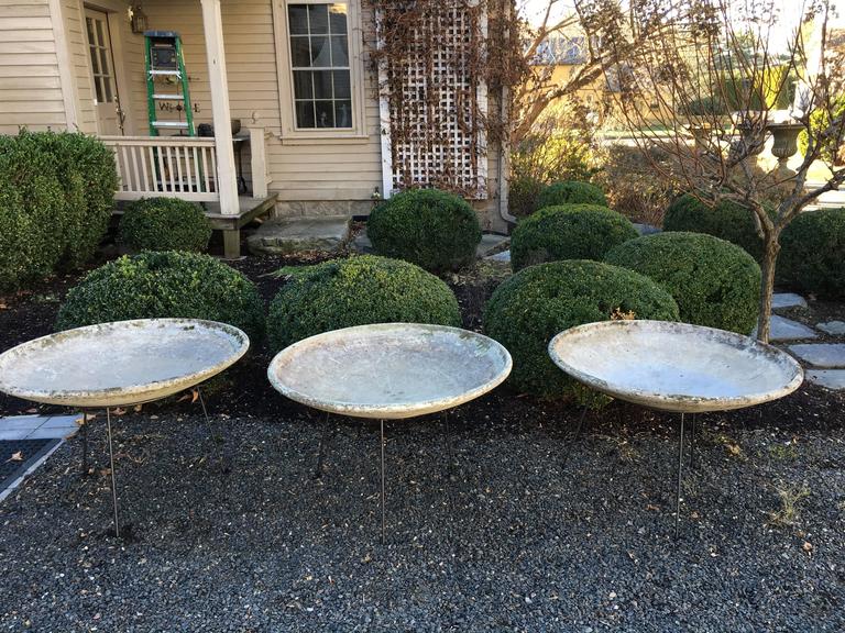 Set of Three Large Willy Guhl Saucer Planters in Stands For Sale at 1stdibs
