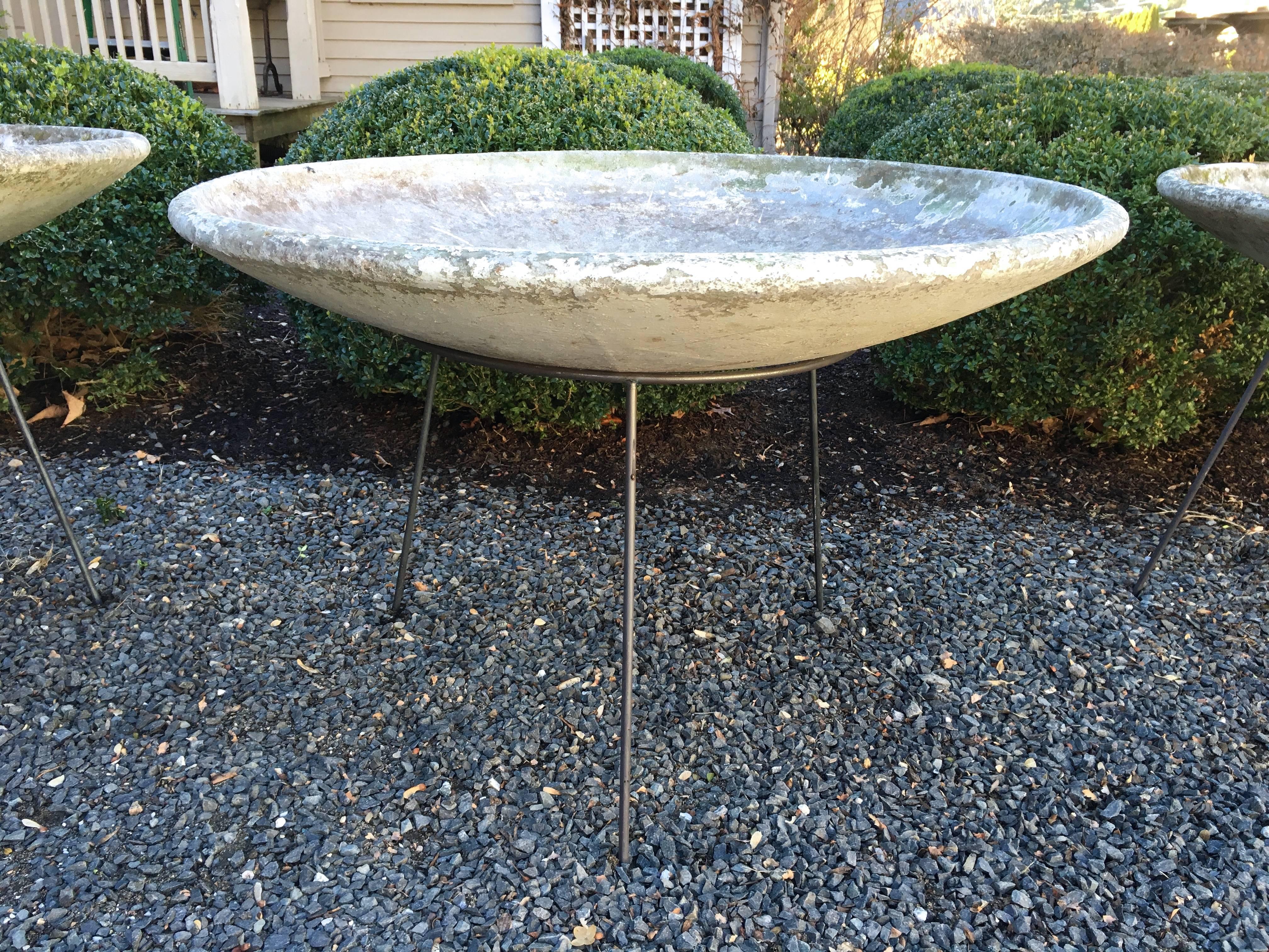 Large Willy Guhl Saucer Planter in Stand 3