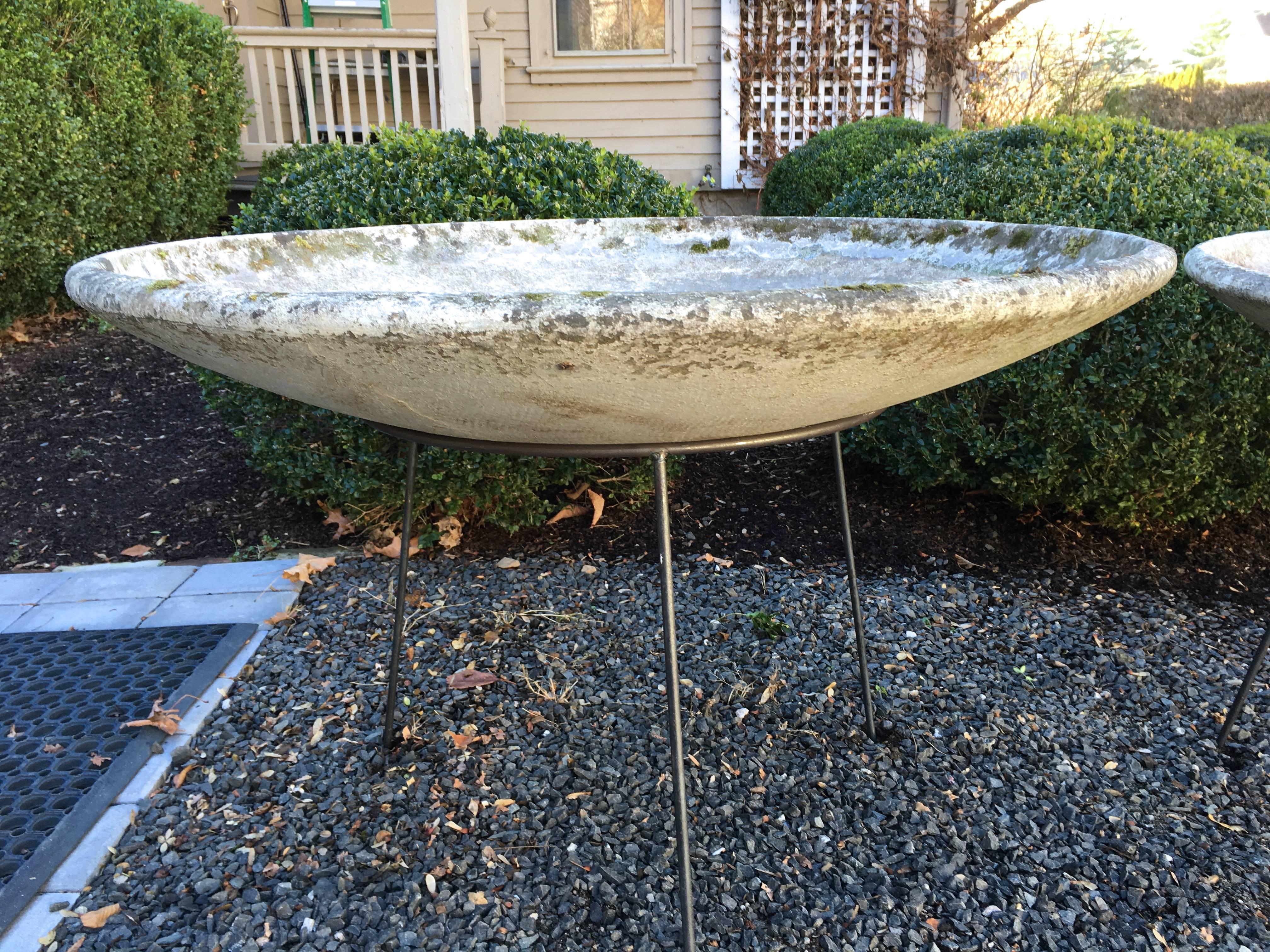 Large Willy Guhl Saucer Planter in Stand 4