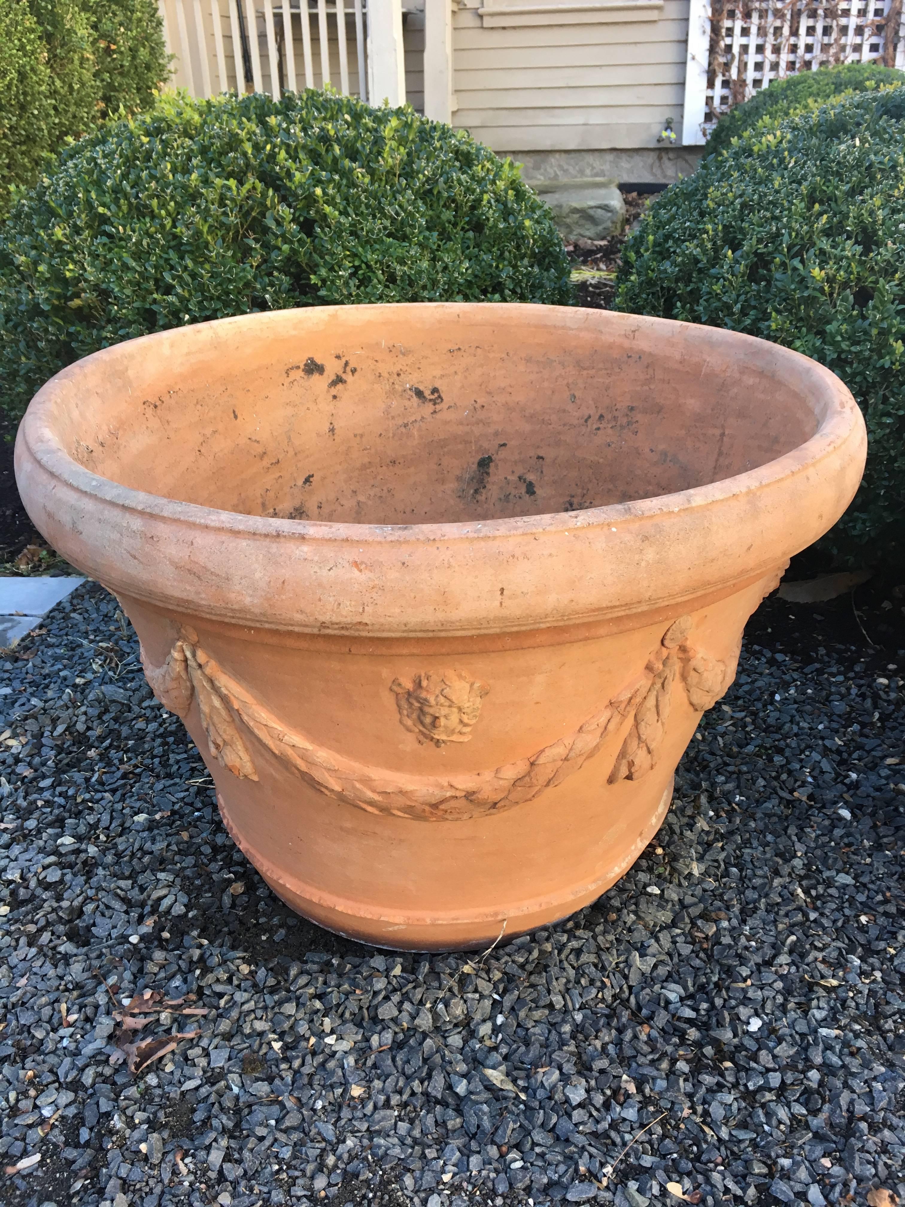 These lovely classical terra cotta planters are adorned with laurel swags, tassels, and petite lions heads and each is signed by the maker, Domenico Ricceri of Imprunetta, Italy. Large enough to accommodate a commodious planting of lavender or the