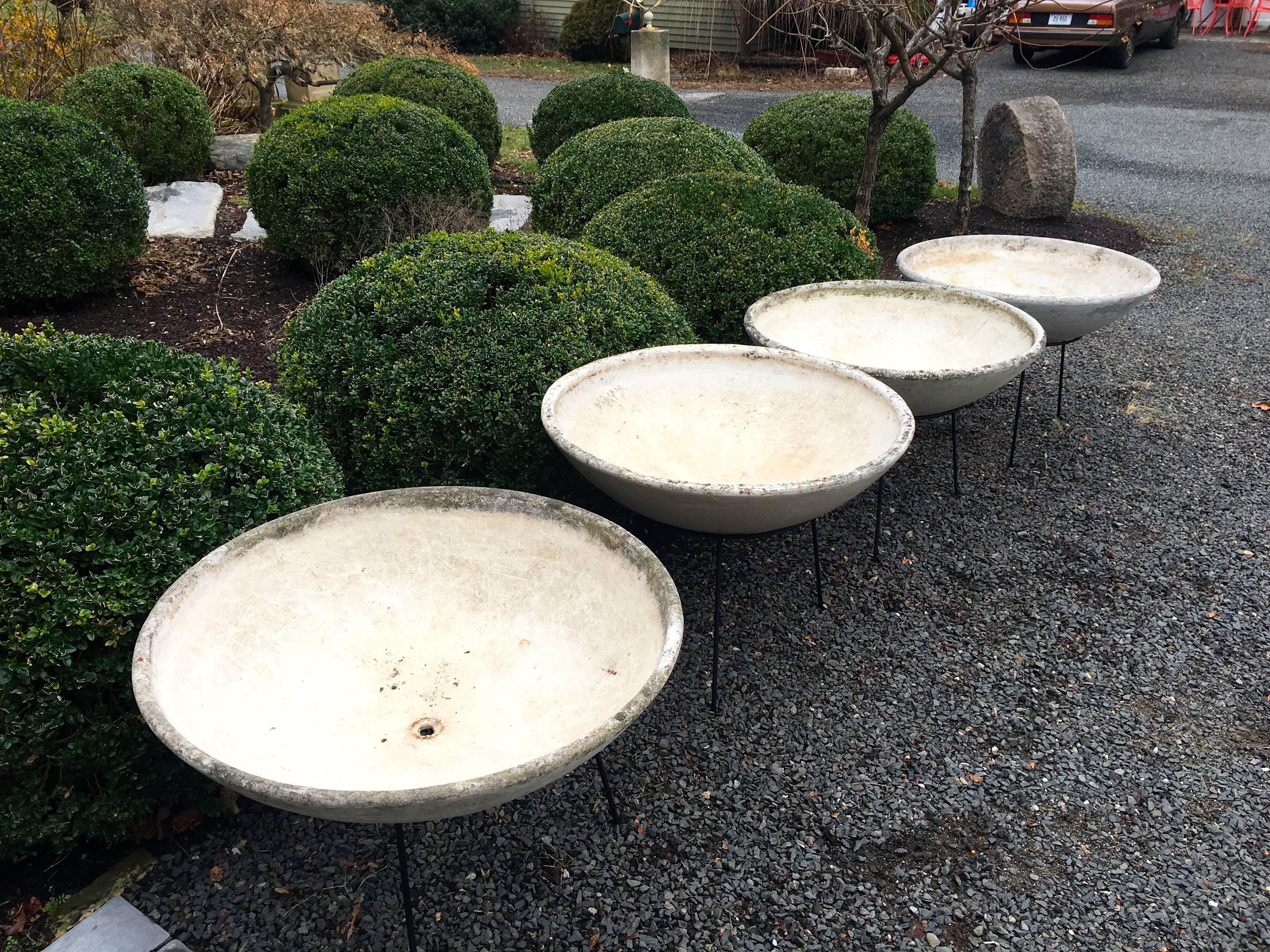 We love both the form and versatility of these numbered Willy Guhl bowl planters produced in fiber cement by Eternit of Switzerland. In original surface and excellent condition, we have commissioned custom metal three-legged stands for them that are