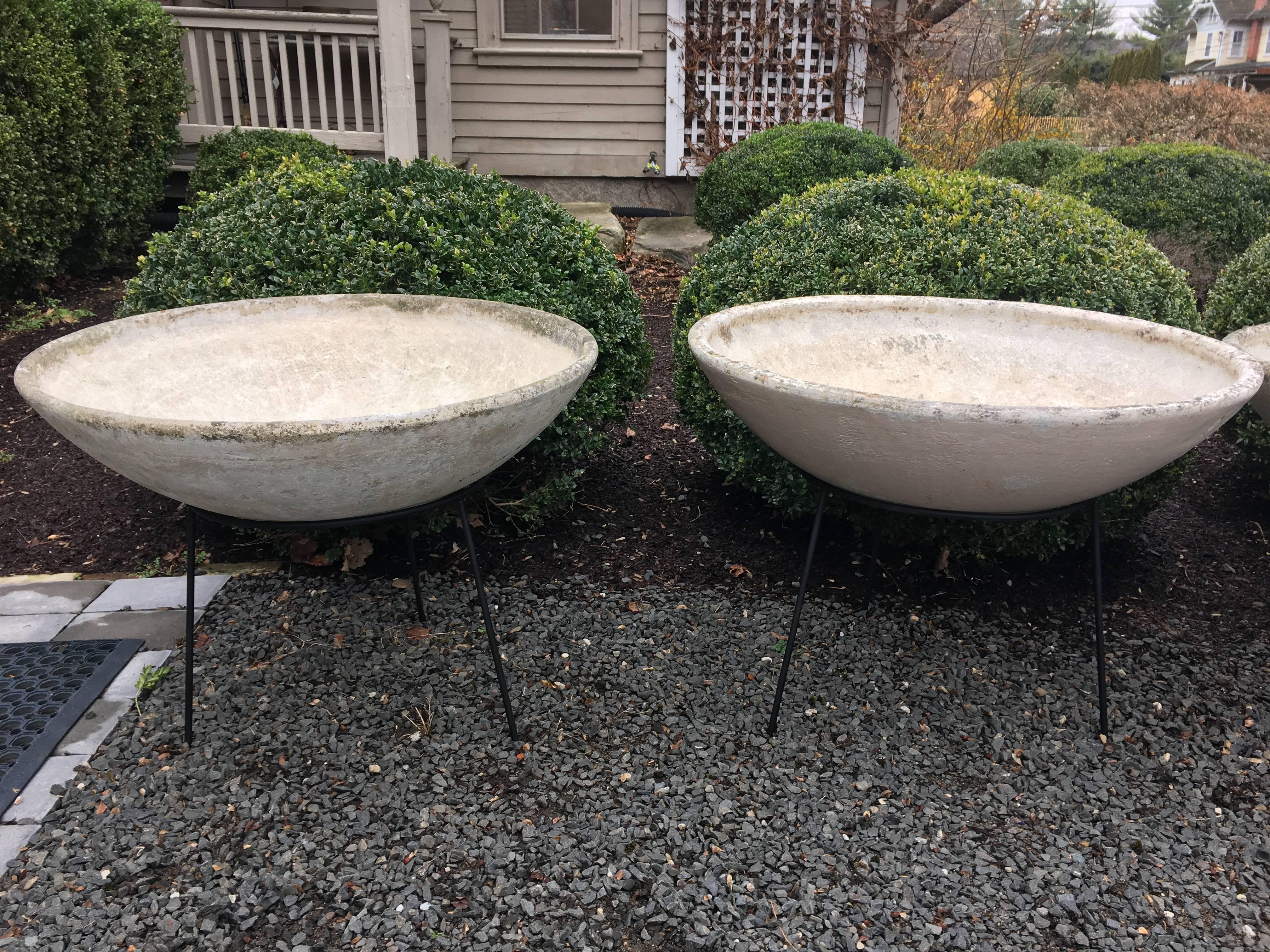 Mid-Century Modern Pair of Willy Guhl Bowl Planters in Contemporary Steel Stands