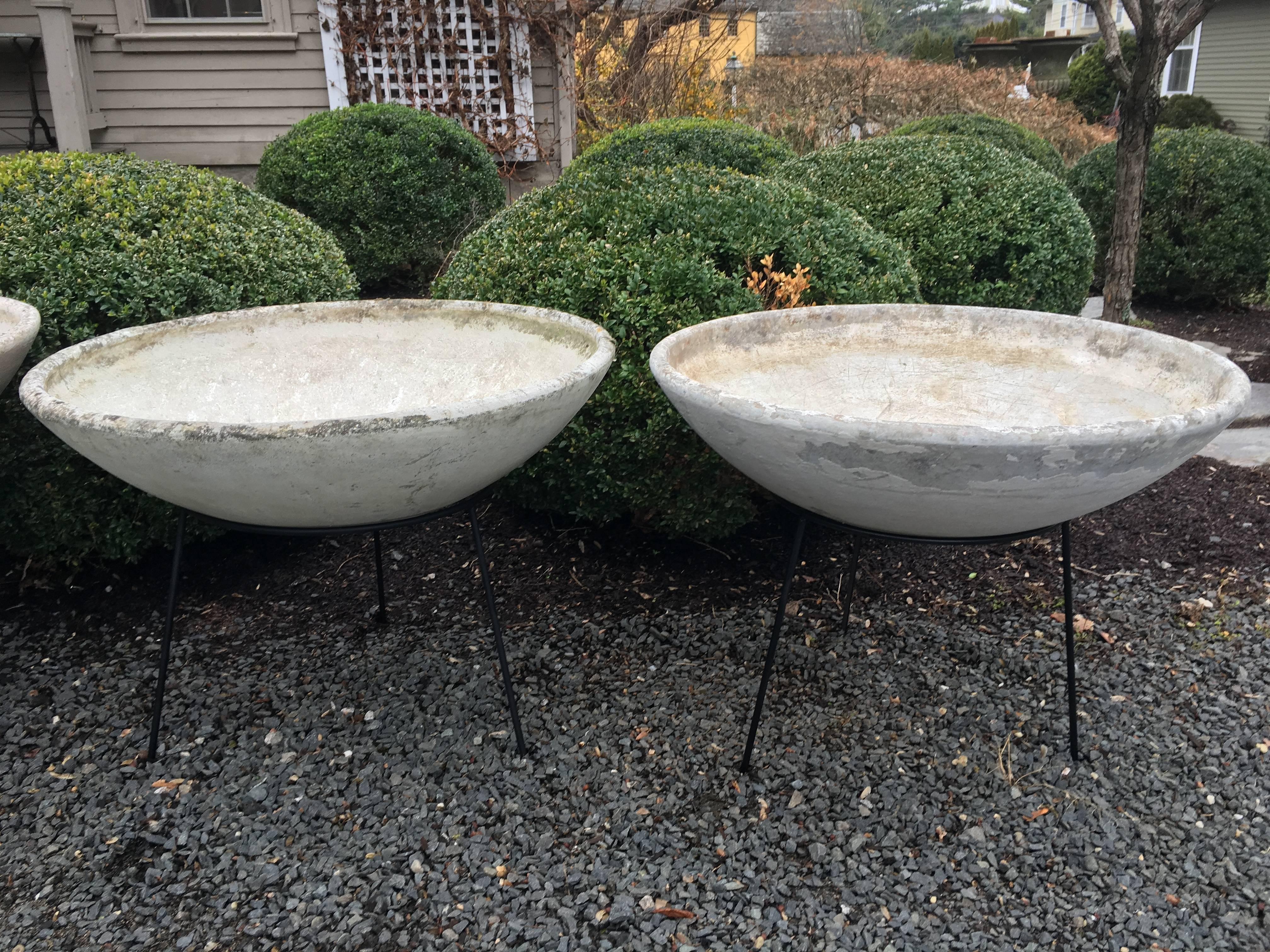 Swiss Pair of Willy Guhl Bowl Planters in Contemporary Steel Stands