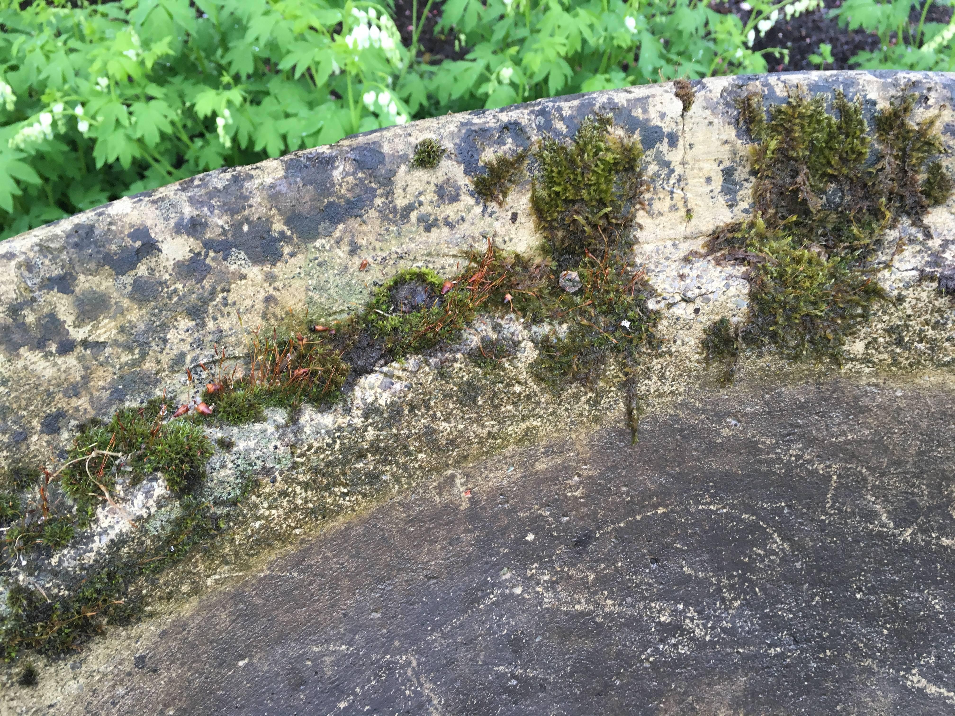 Marvelous French Faux Bois Fountain or Planter 4