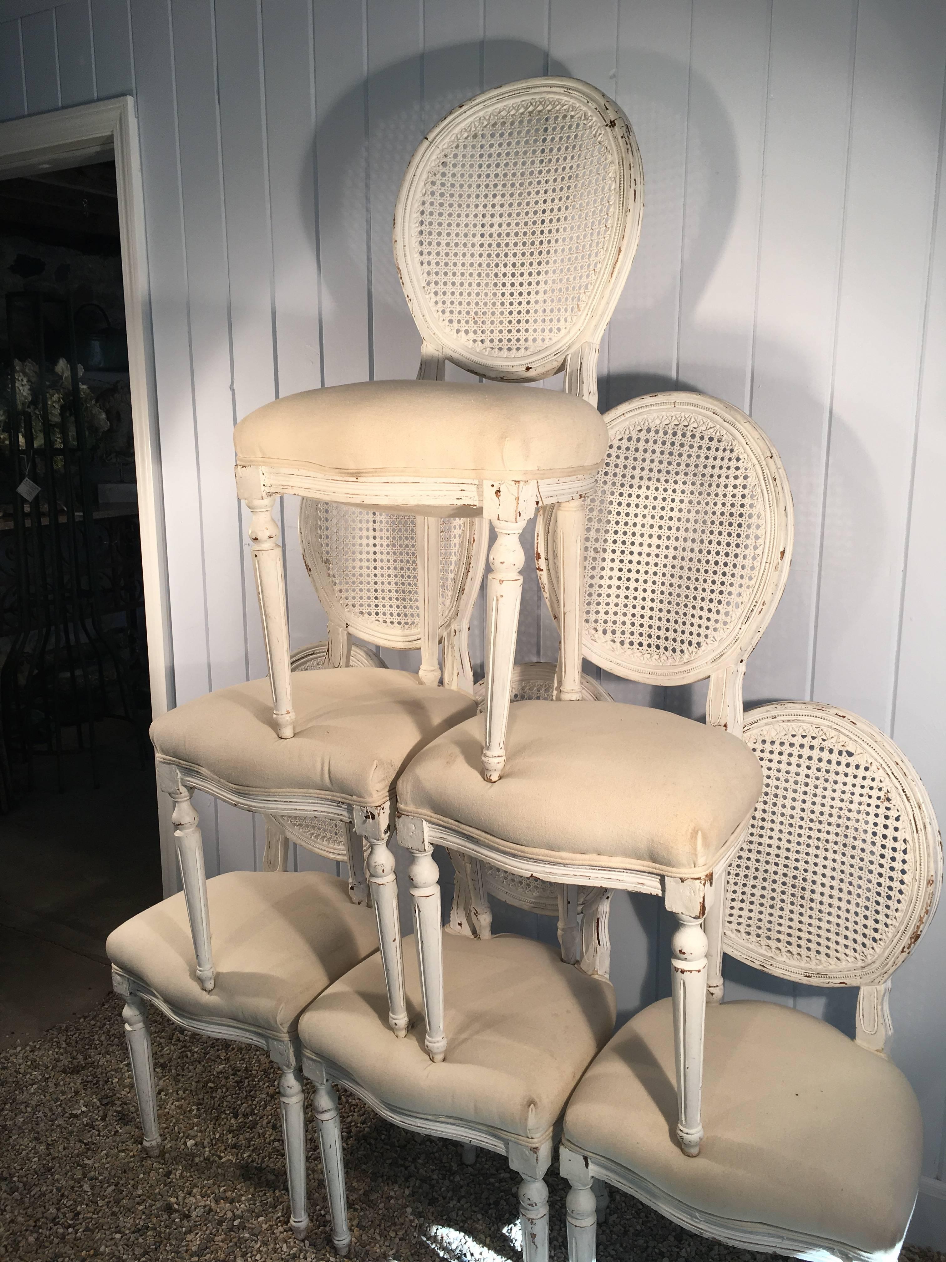 Six Louis XVI Style Painted Dining Chairs with Caned Backs 1
