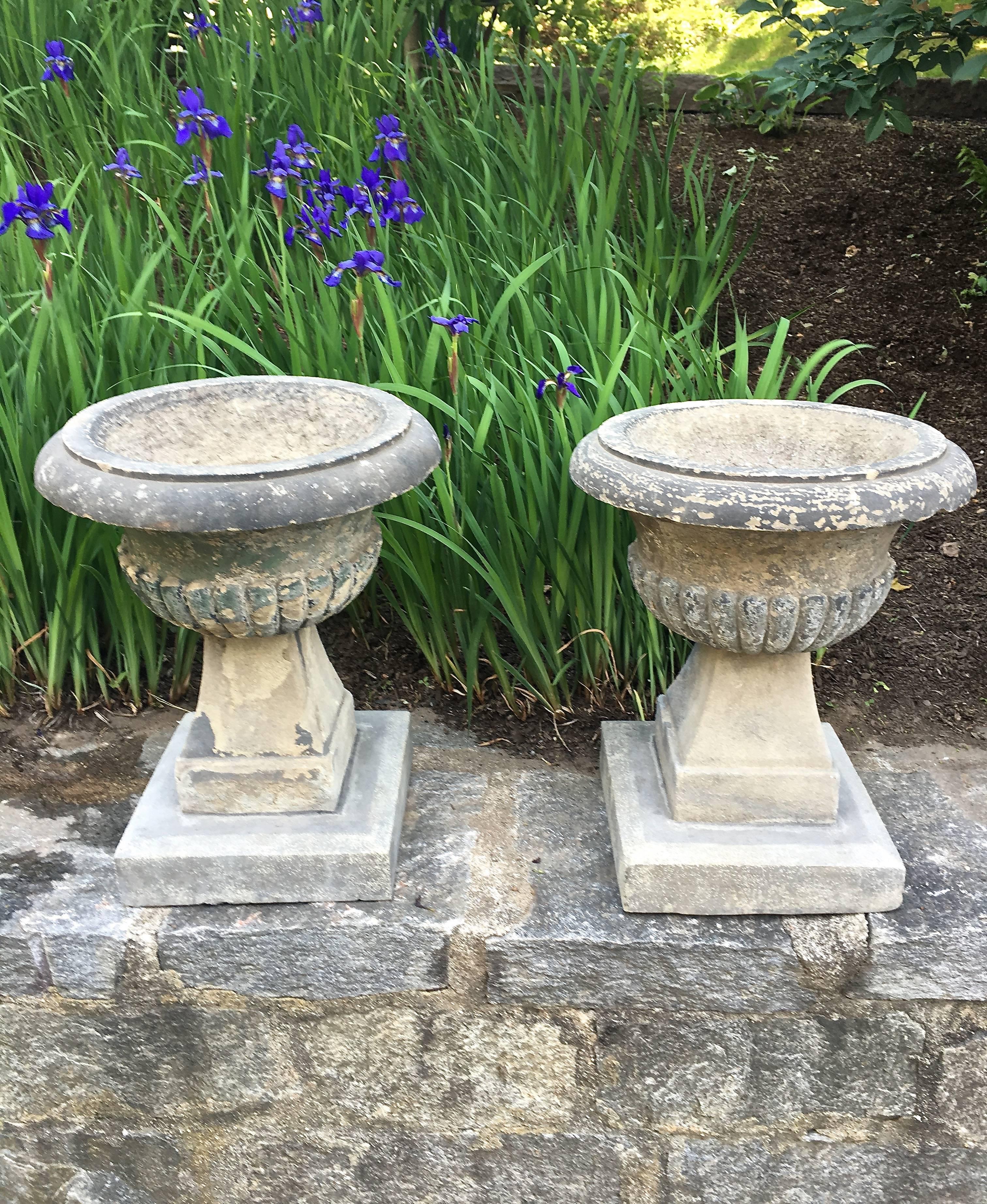This pair of hand-carved rustic Yorkstone urns features unusual semi-lobed bowls that are a cross between tazza and campana forms. With faint traces of old green paint, they would make a wonderful addition to your informal country garden and will