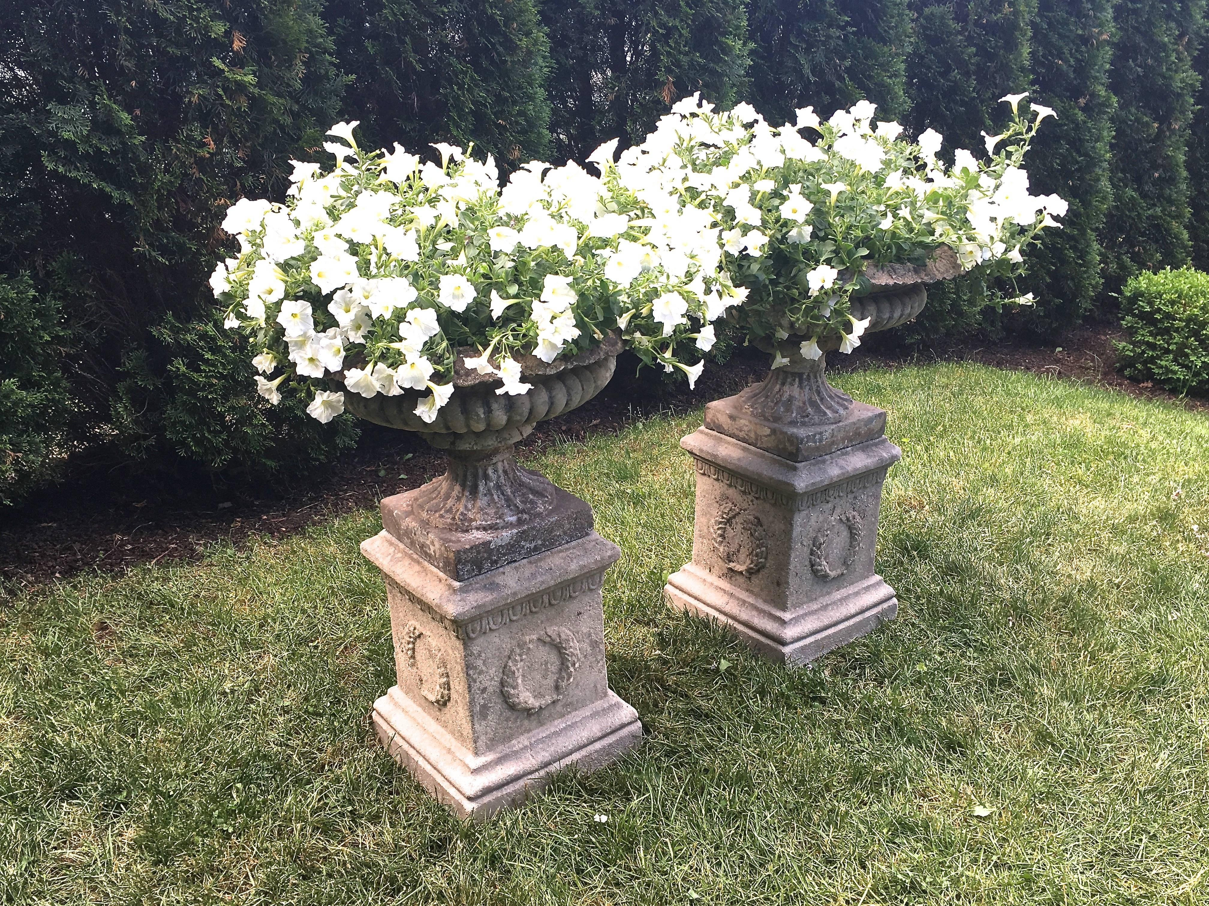 This classic pair of cast stone urns with demi-lobed bowl and egg and dart rim is absolutely stunning, but alas, have undergone some repairs, so should come indoors for winter if you live in a cold climate. They sit on conforming and