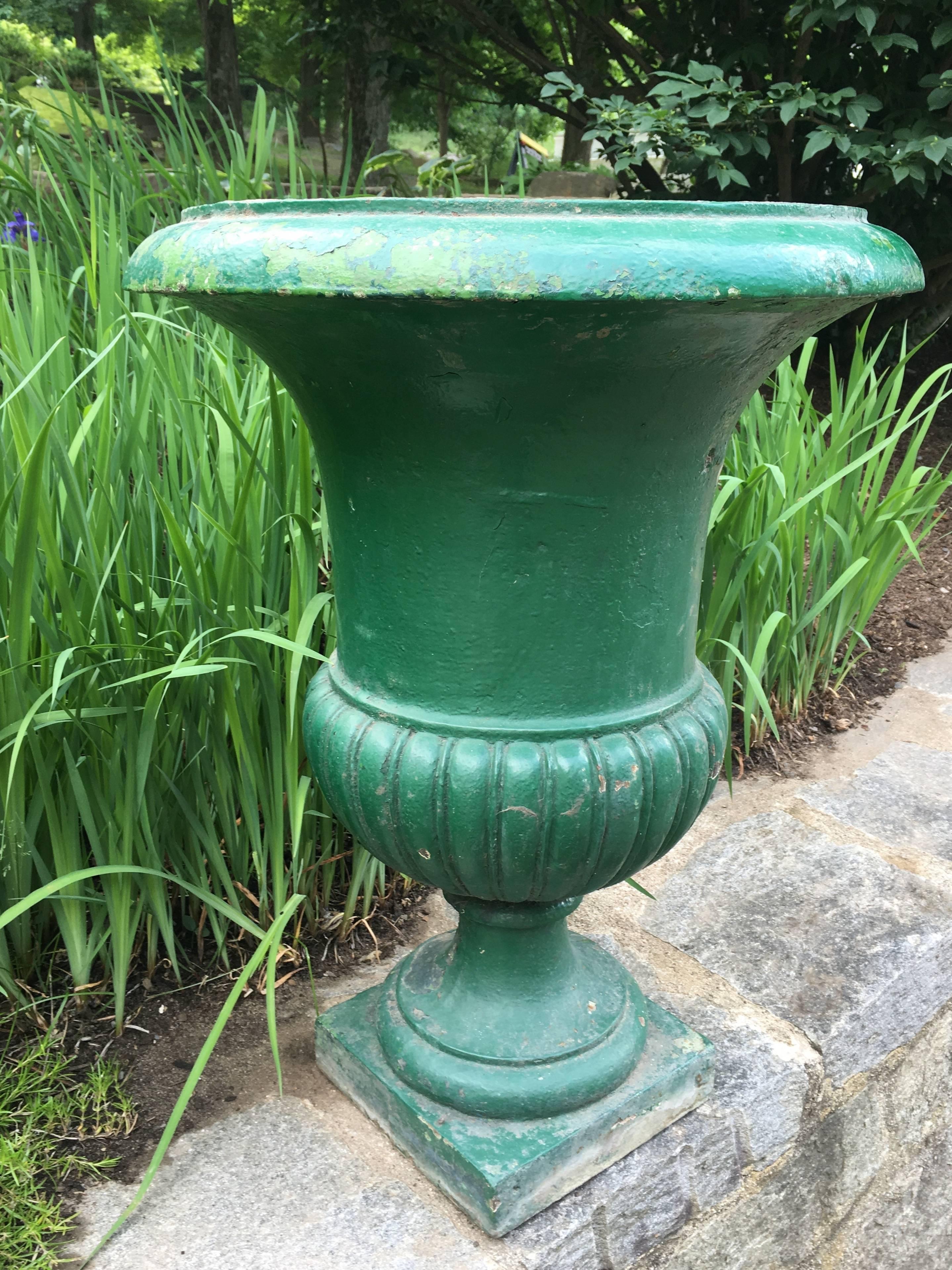 Large French 19th Century Cast Iron Campana Urn In Good Condition For Sale In Woodbury, CT