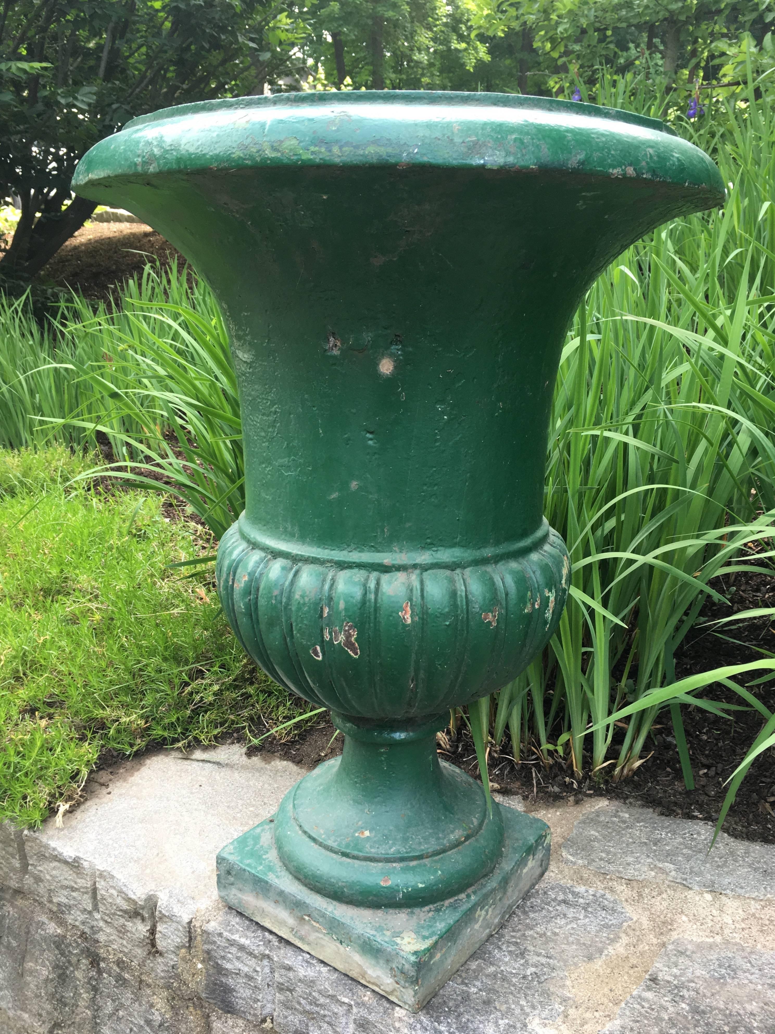 This is a gorgeous and early French cast iron campana urn with a plain, everted rim and semi-lobed body. In old green paint, it would make a real statement beside your front door potted up with a profuse arrangement of annuals or wavy grasses. It is