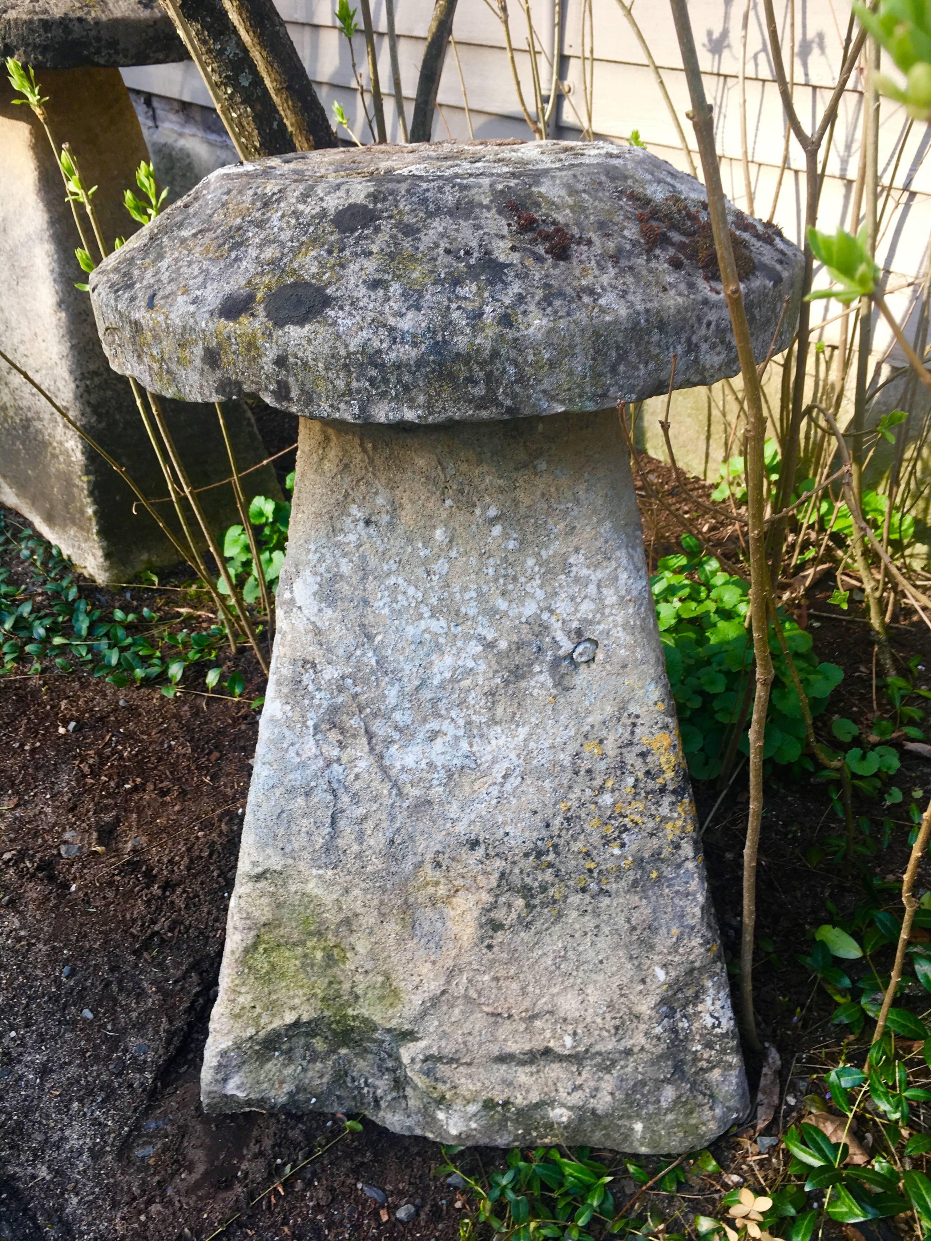 Five English 18th Century Staddle Stones 2