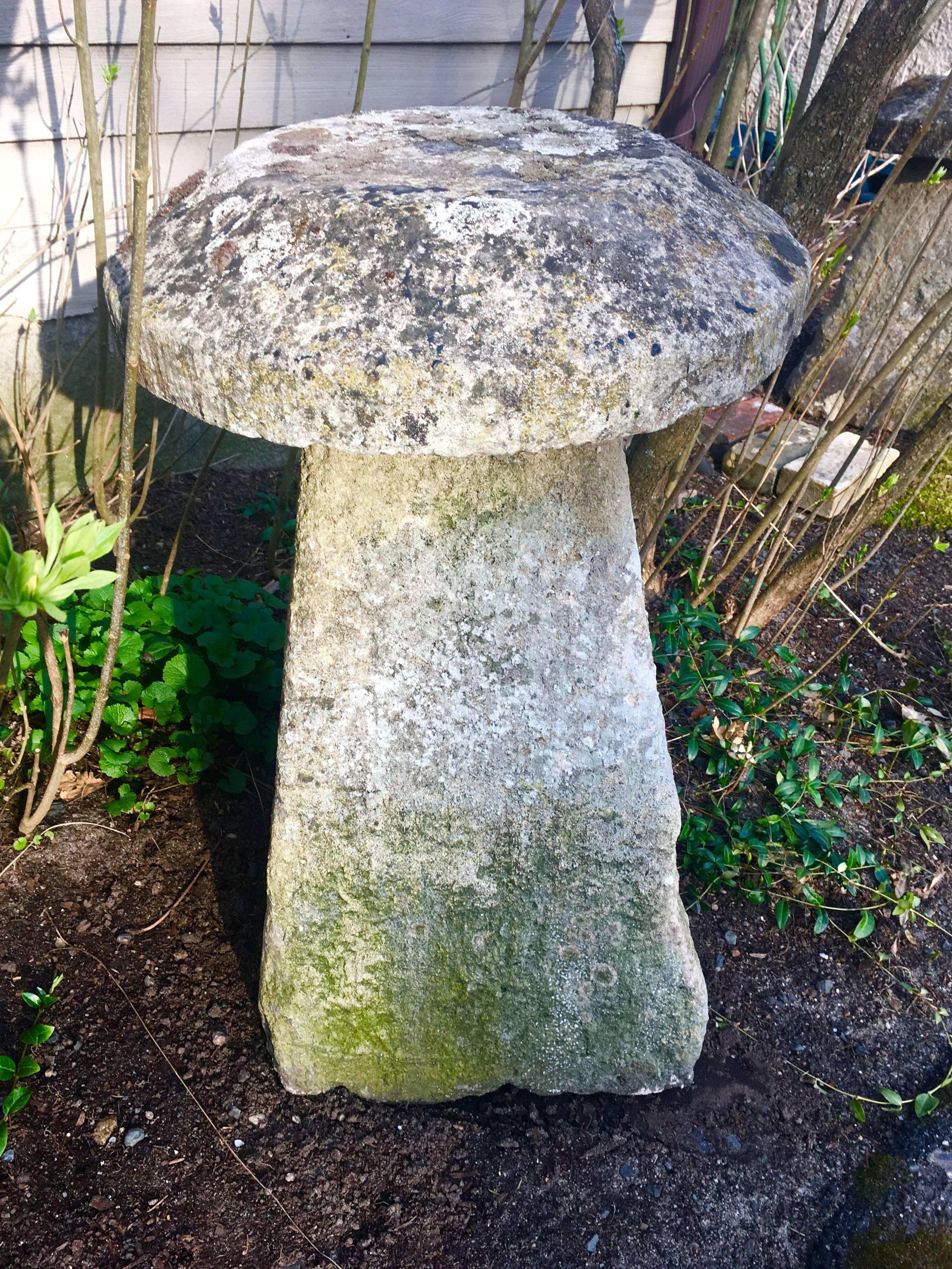 Five English 18th Century Staddle Stones 3
