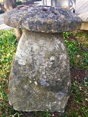 Five English 18th Century Staddle Stones